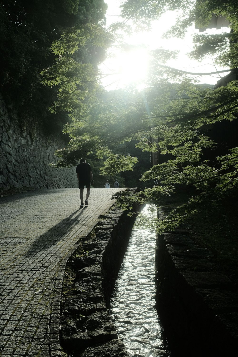 a person walking down a path next to a river