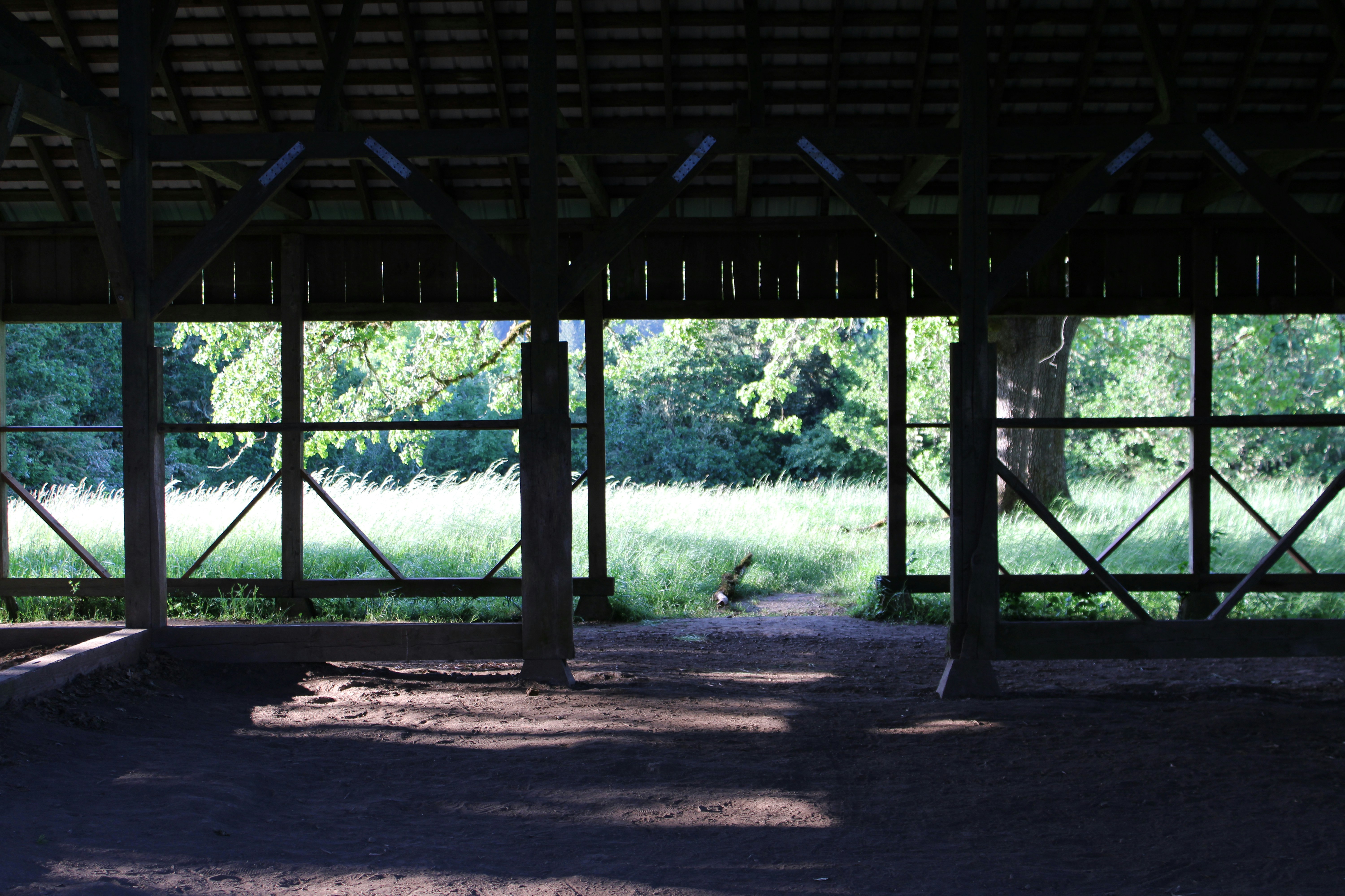 Blick auf eine überdachte Fläche mit Bäumen im Hintergrund