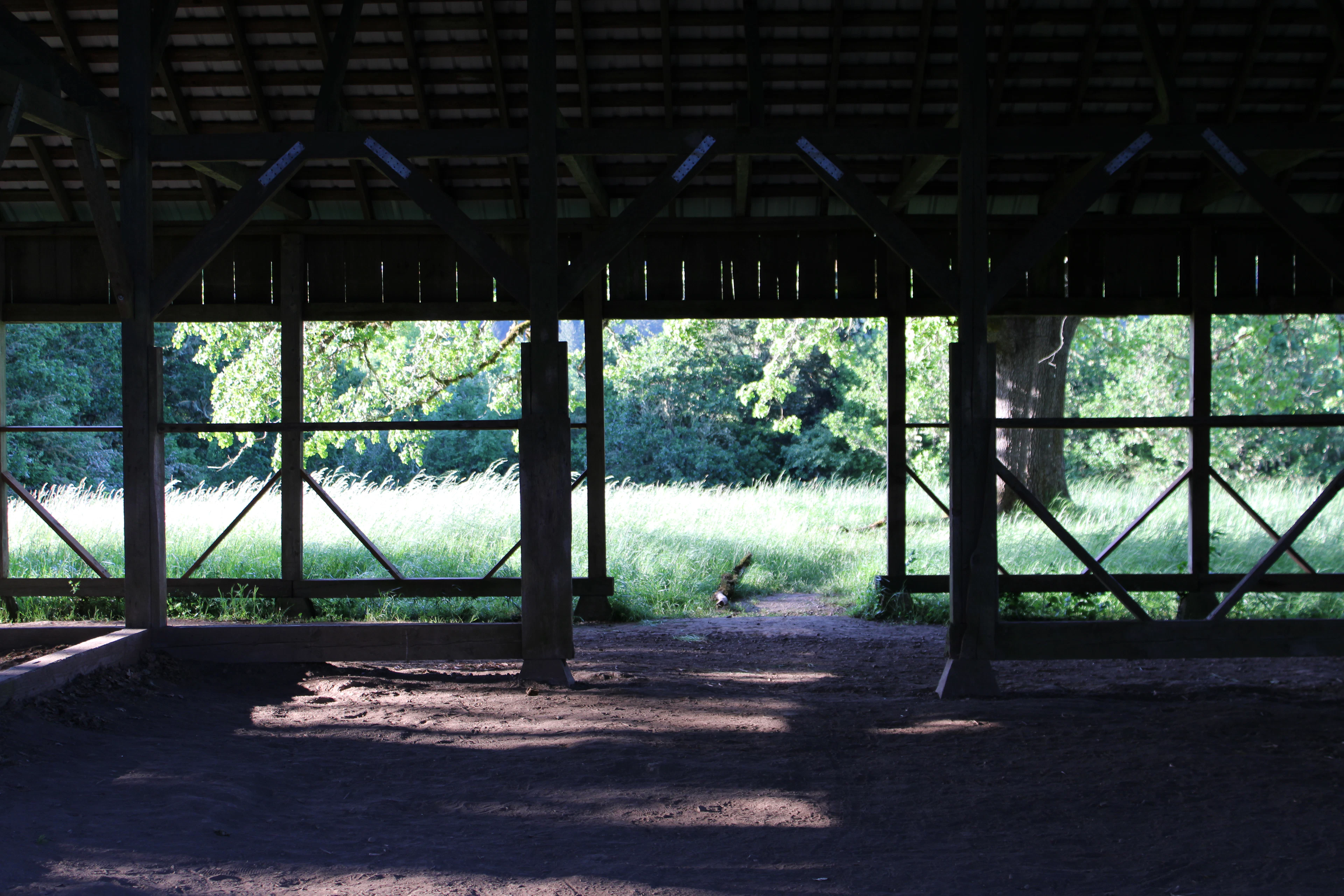 Shed Removal in Four Oaks, NC — before