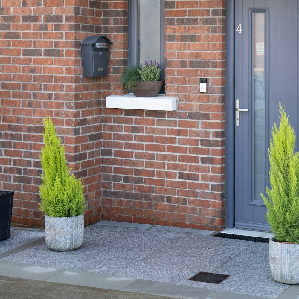 a couple of potted plants sitting on the side of a building