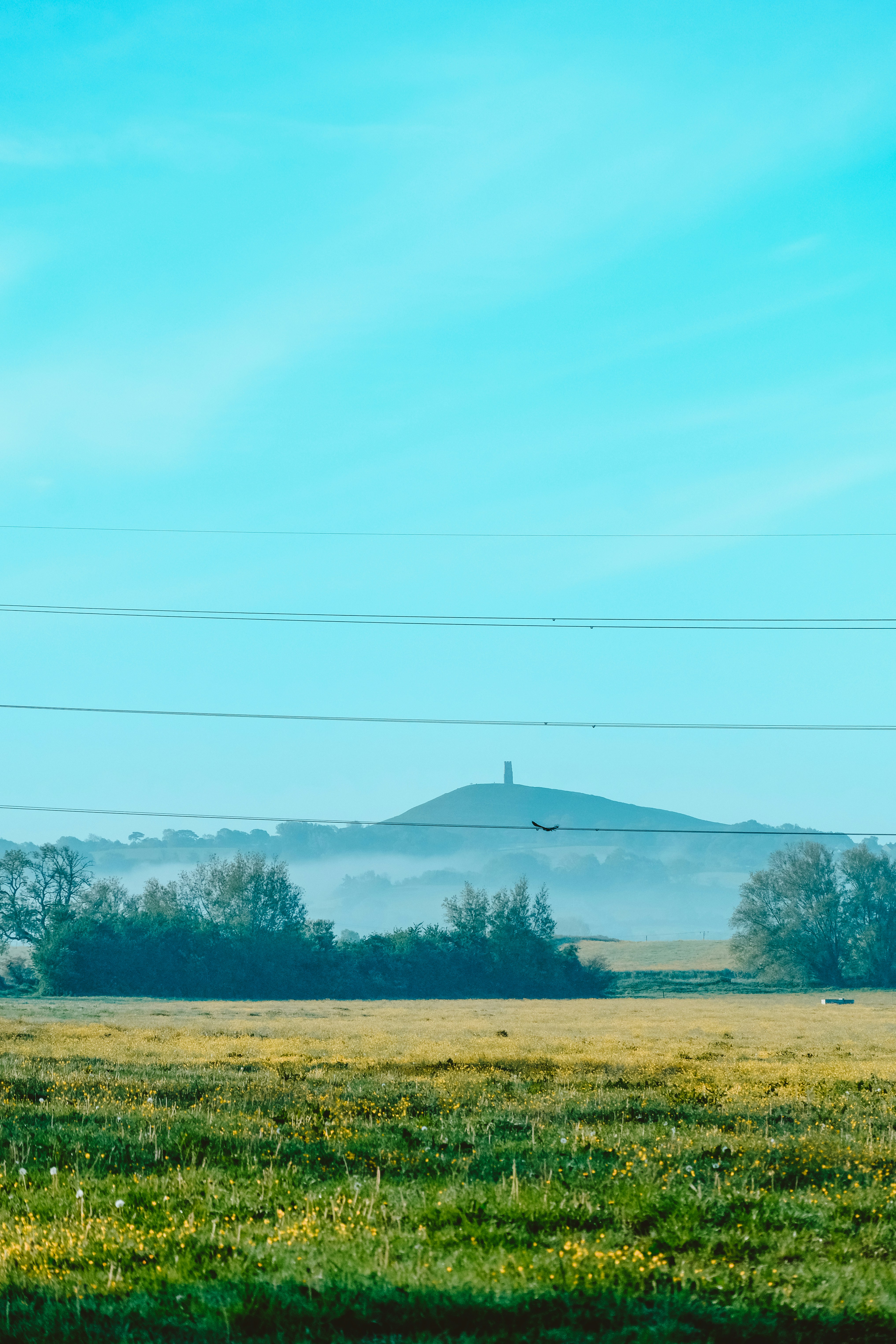 Photo by helloimnik