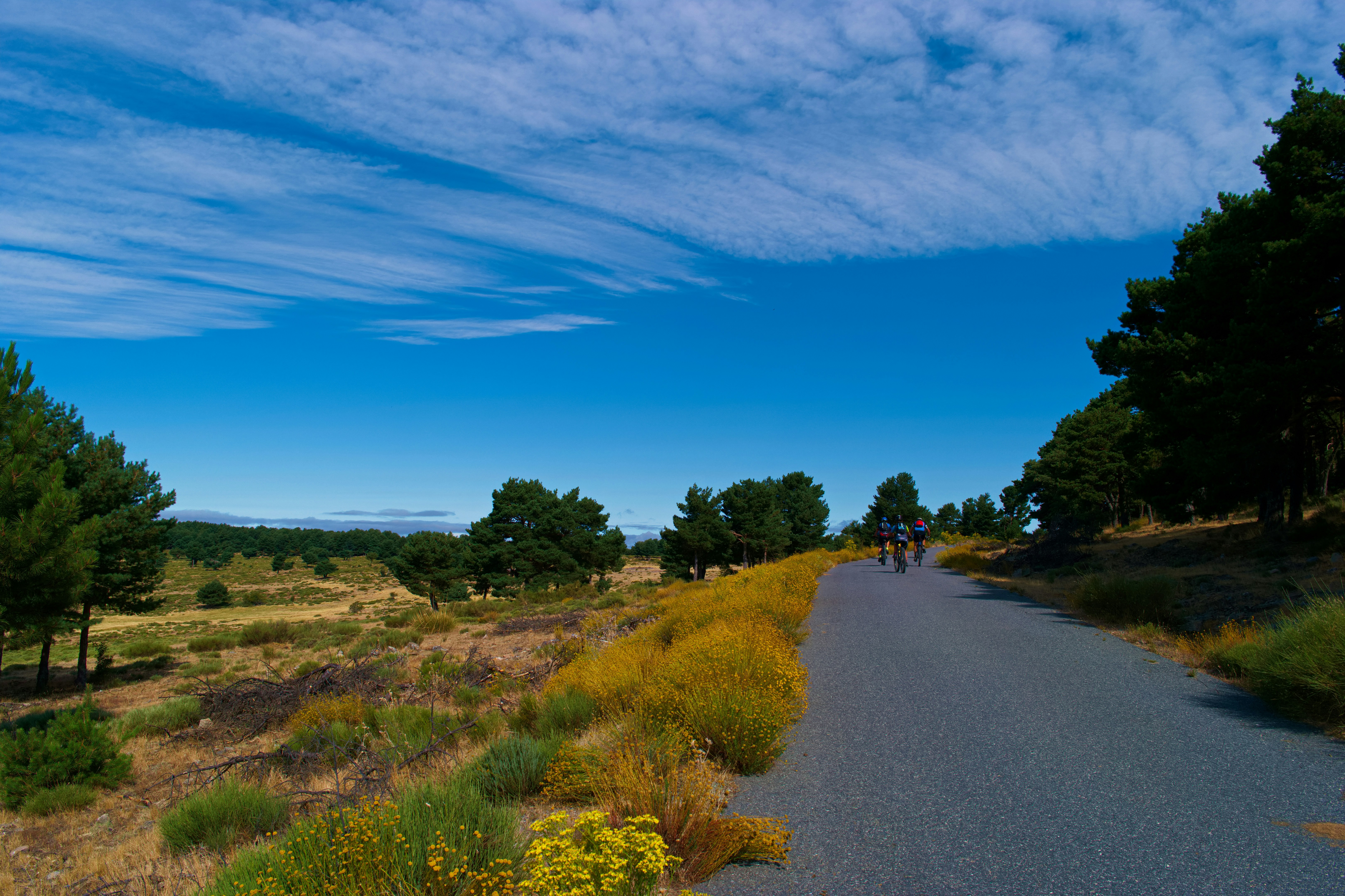 a group of people riding bikes down a road
