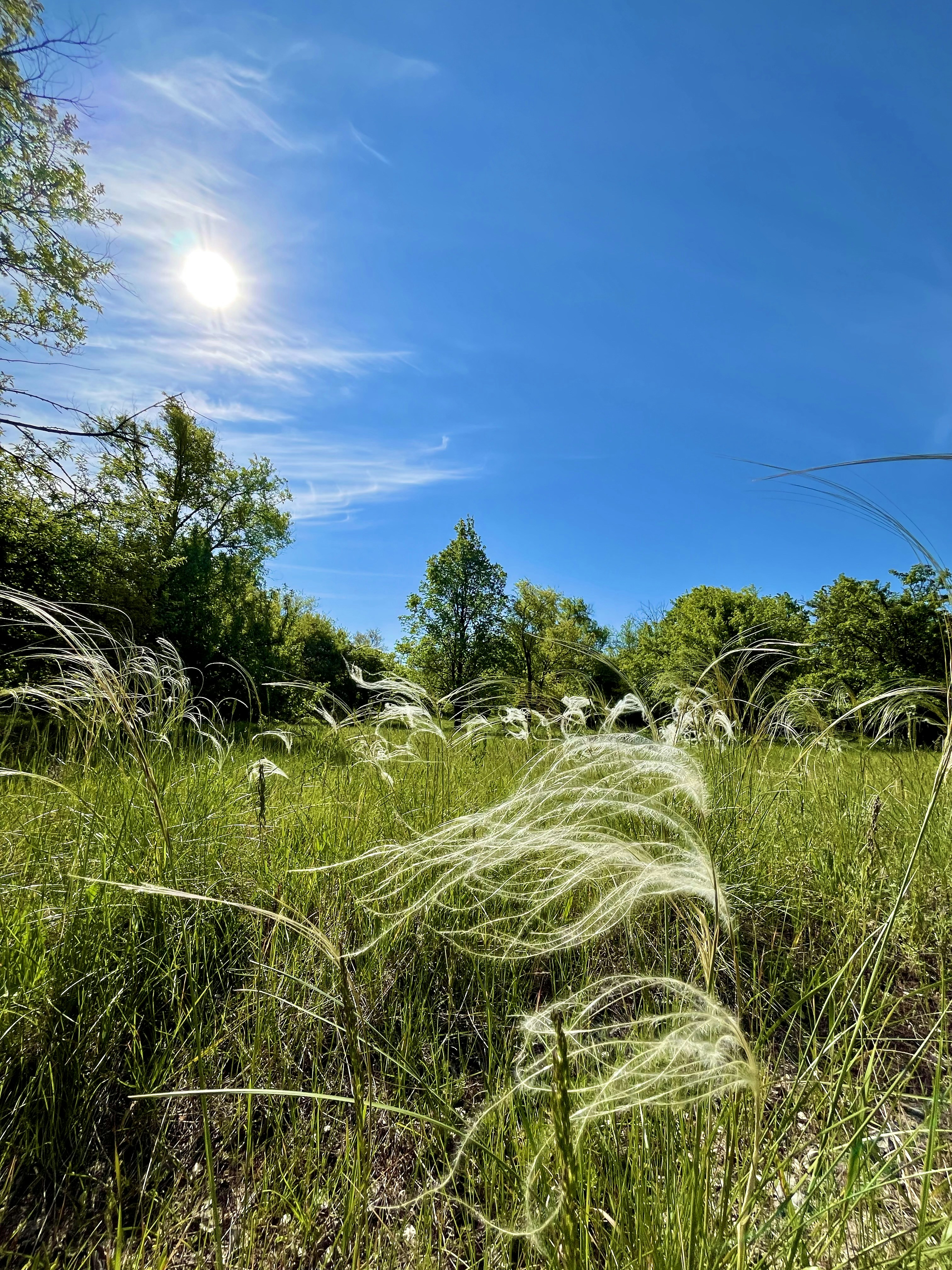 Photo by katrin_bloom