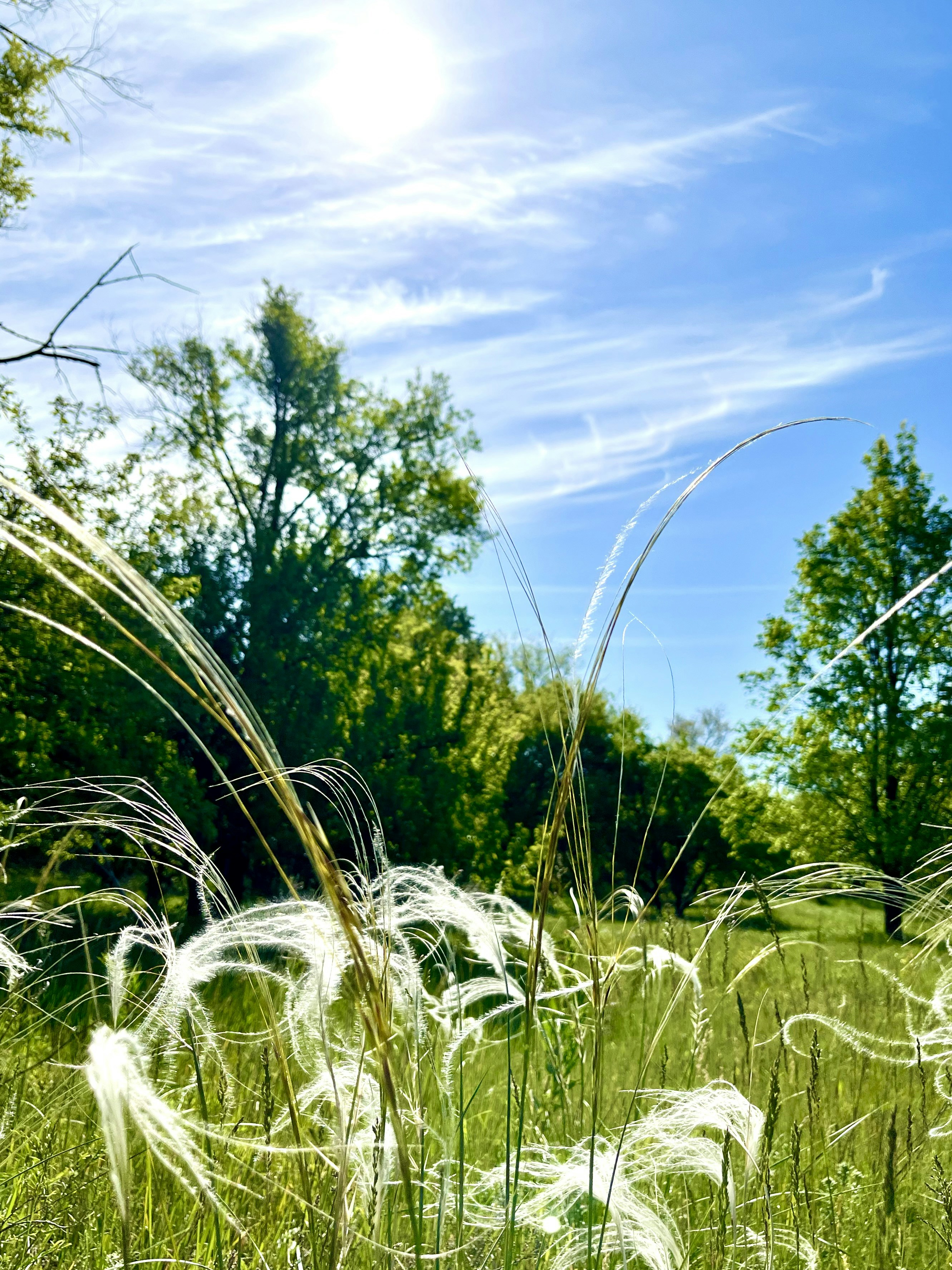 Photo by katrin_bloom