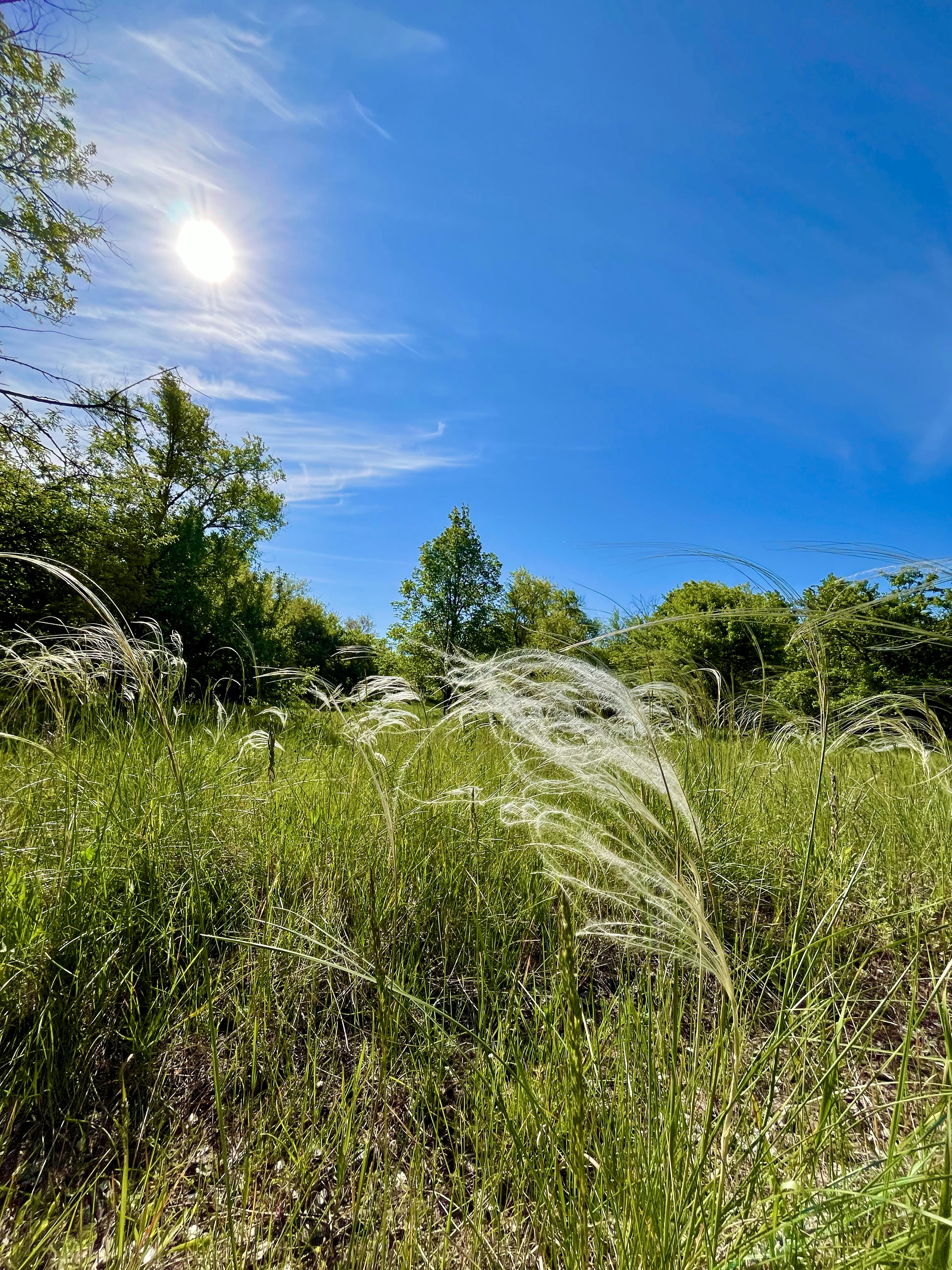 Photo by katrin_bloom