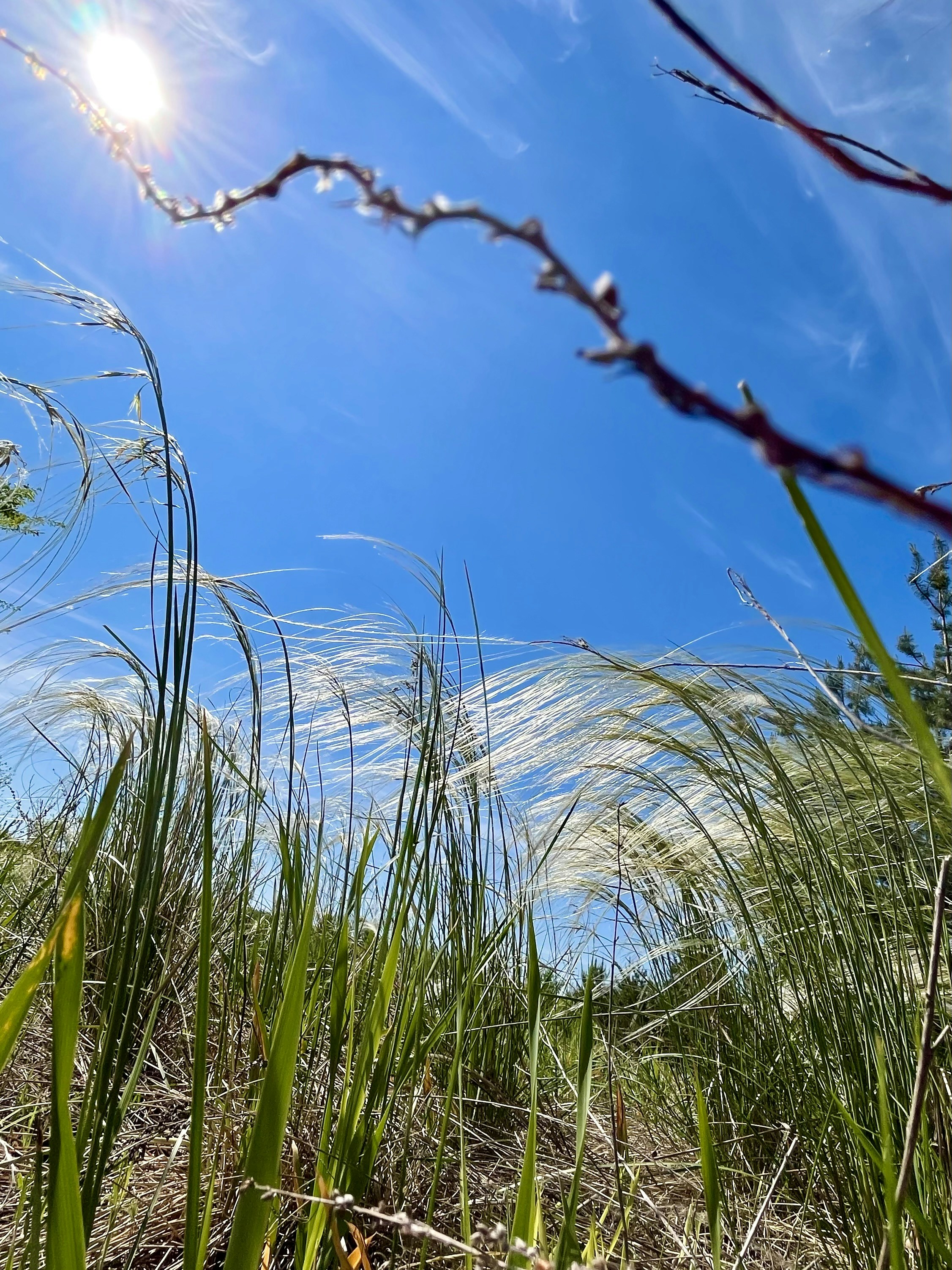 Photo by katrin_bloom