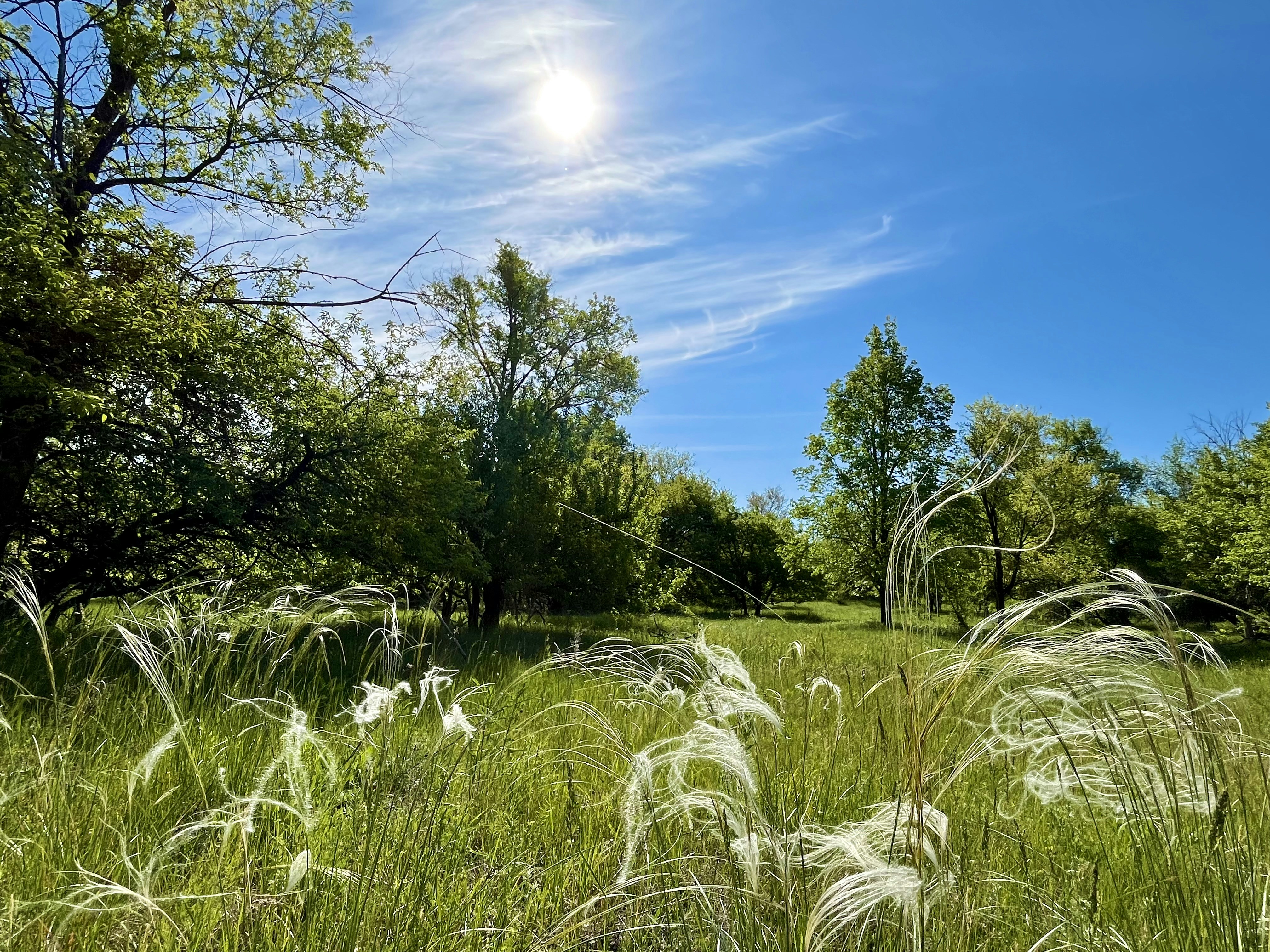 Image by Екатерина Дьяченко via Unsplash