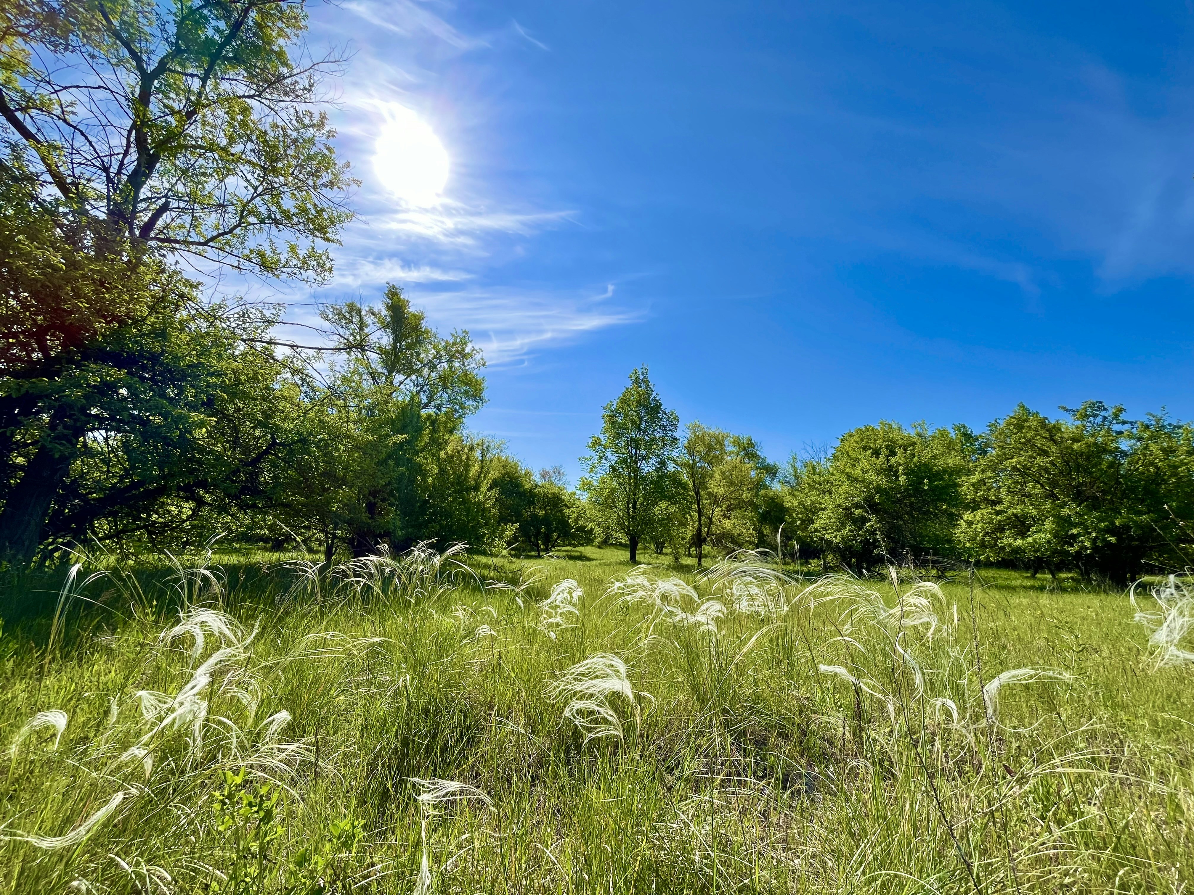 Photo by katrin_bloom