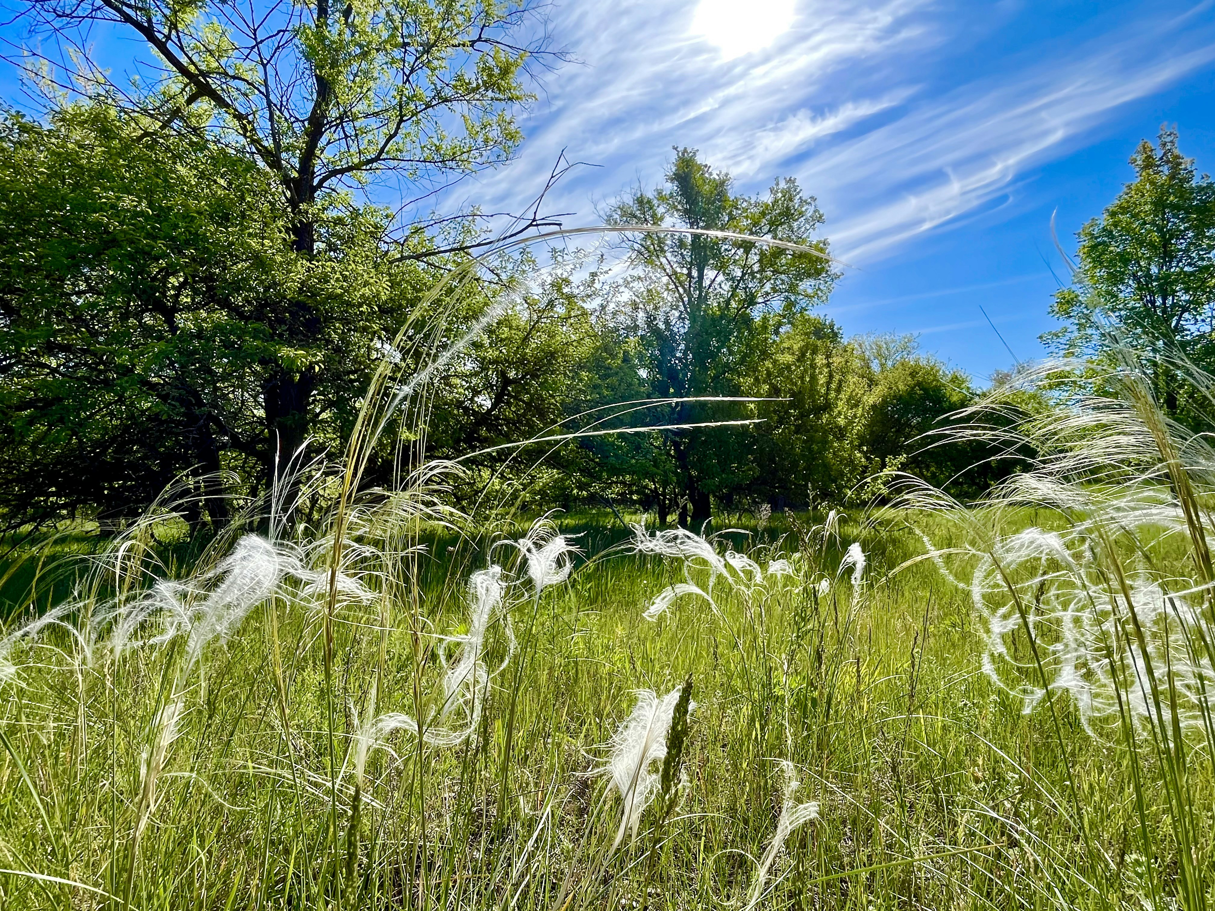 Photo by katrin_bloom