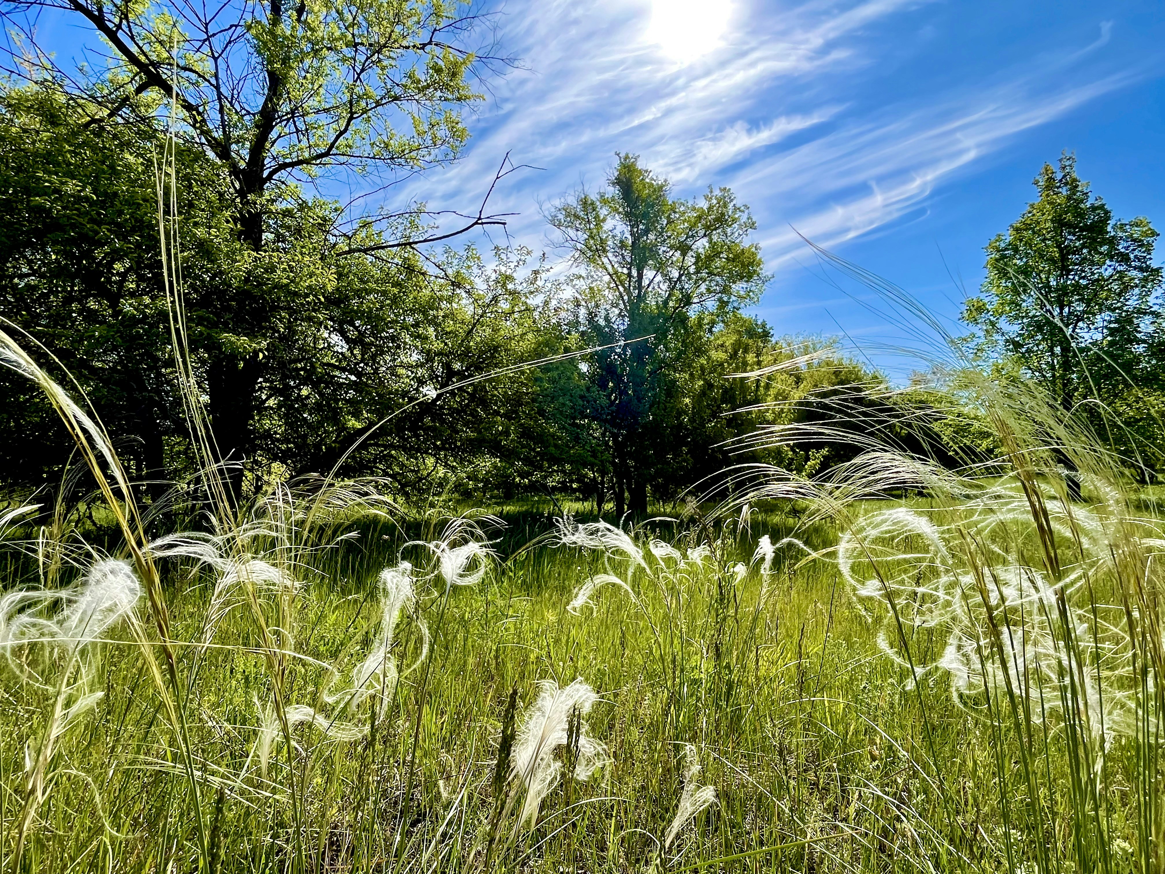 Photo by katrin_bloom