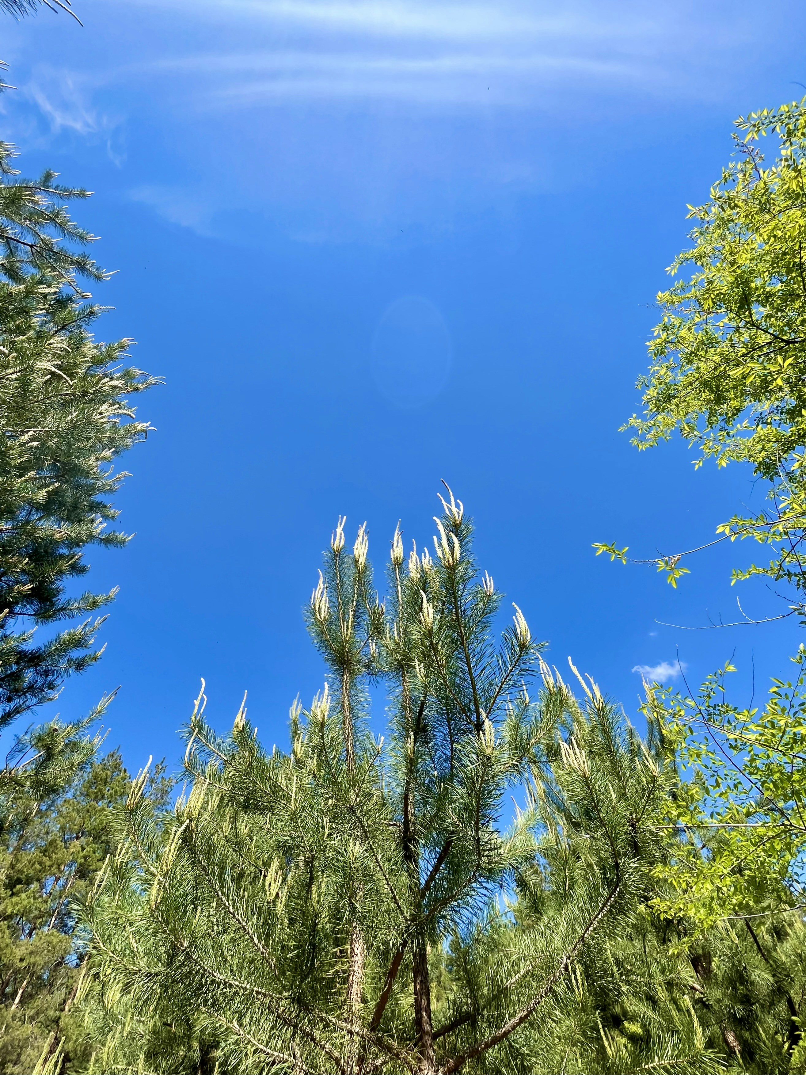 Photo by katrin_bloom