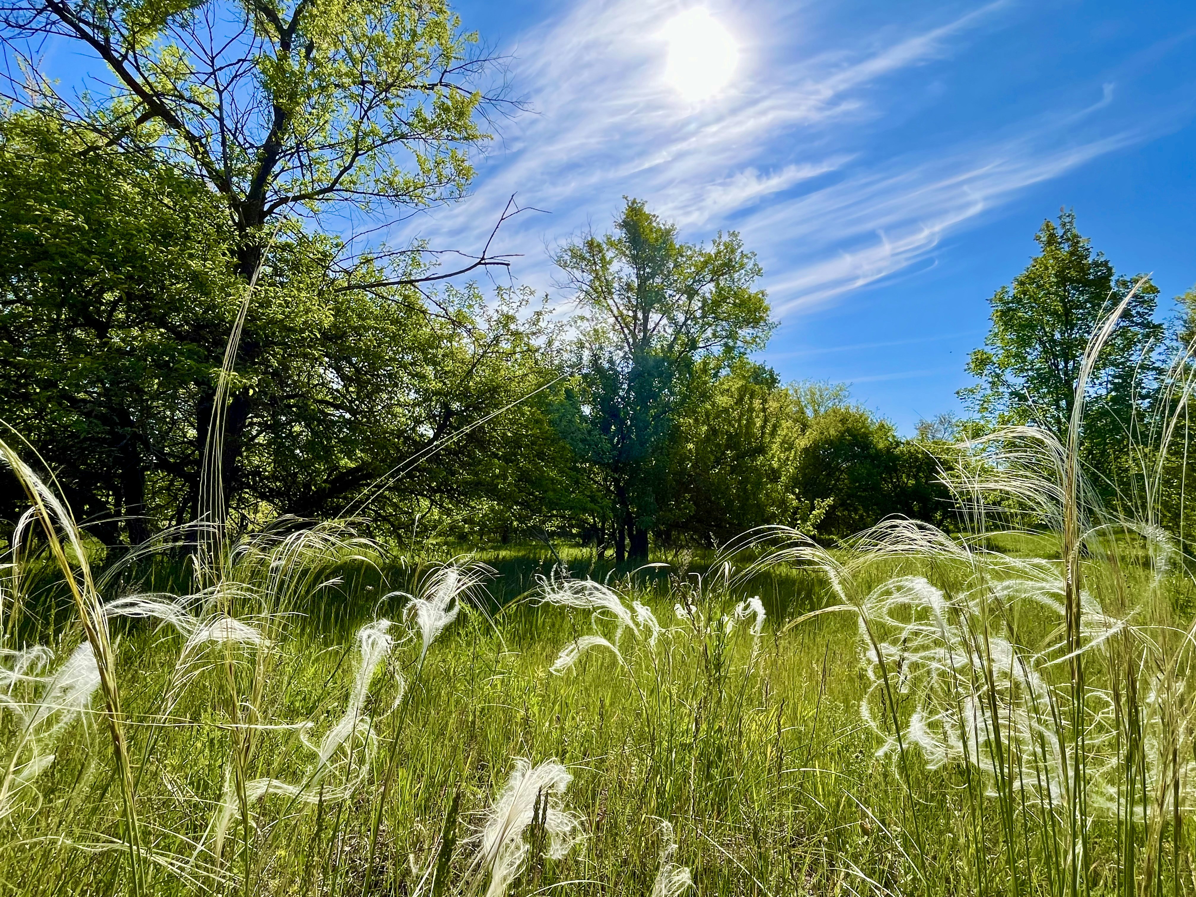 Photo by katrin_bloom