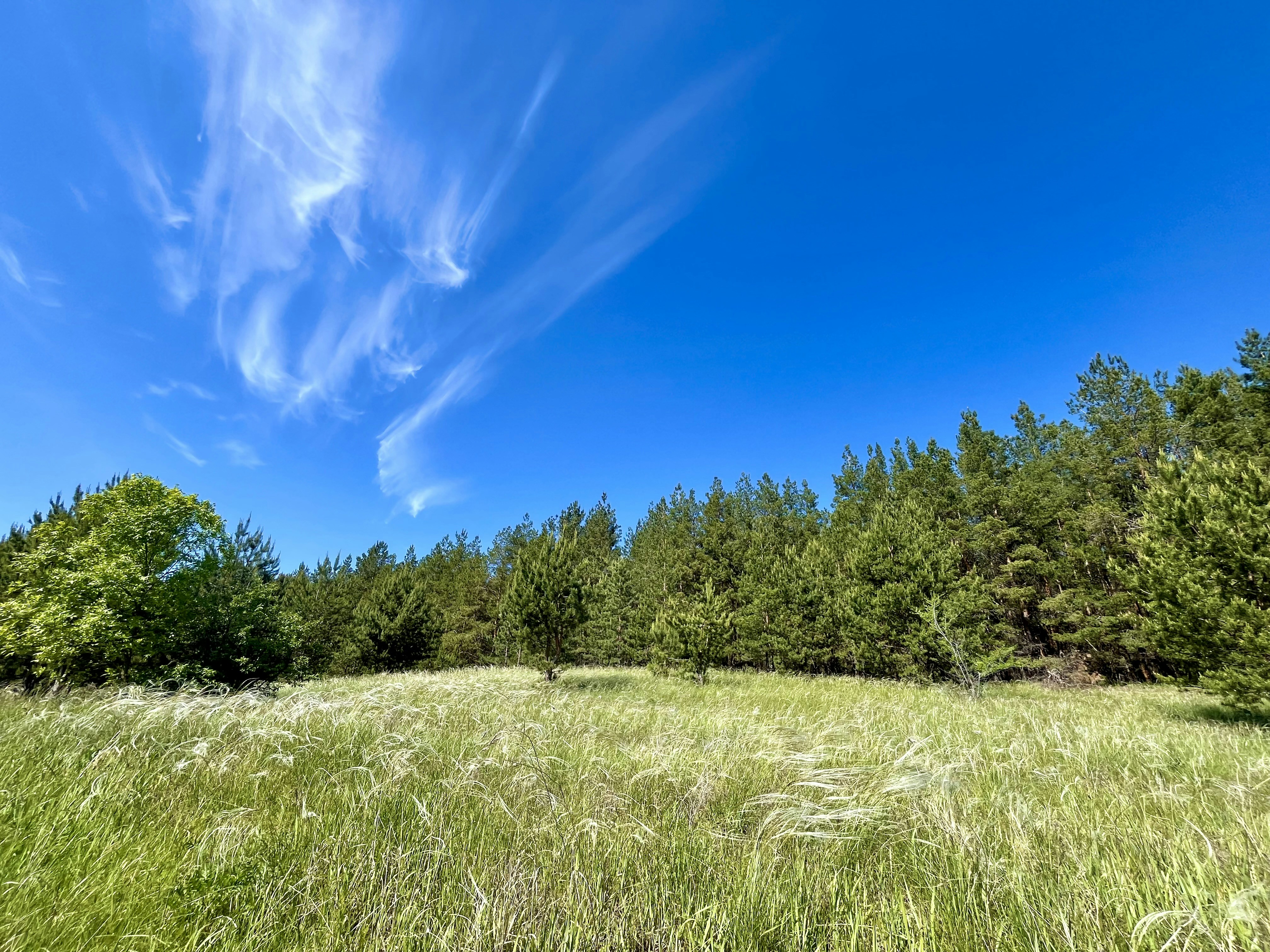 Photo by katrin_bloom