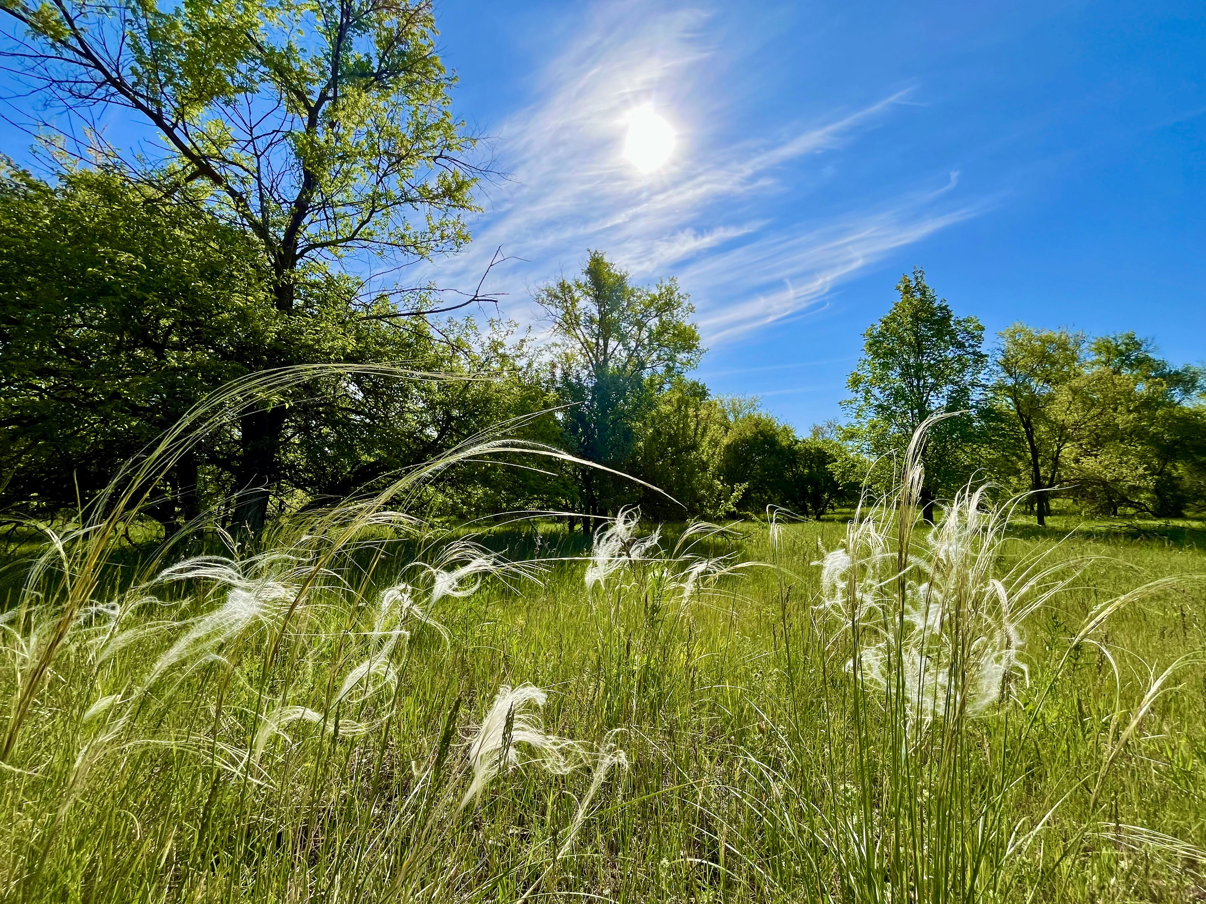 Photo by katrin_bloom