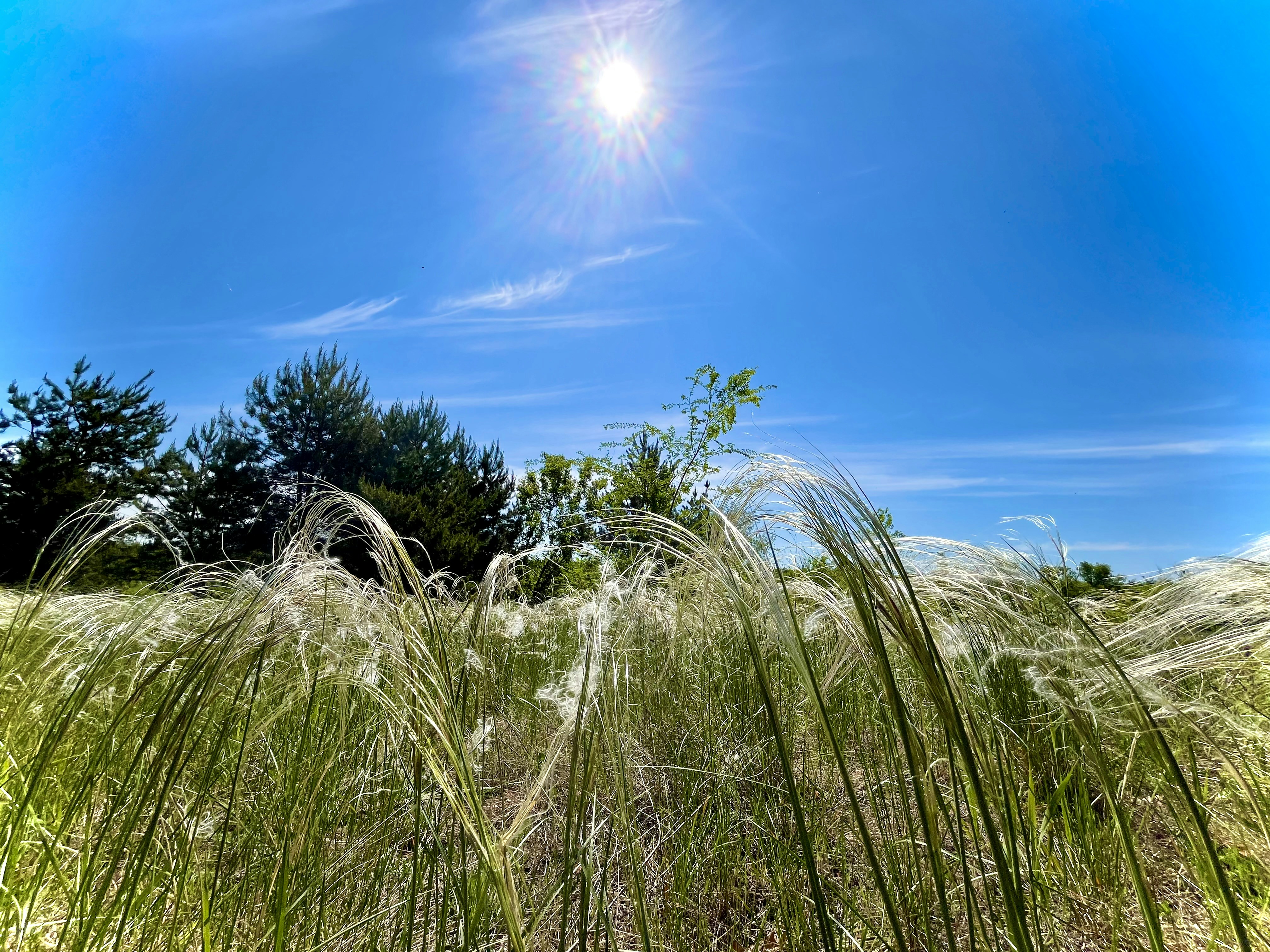 Photo by katrin_bloom