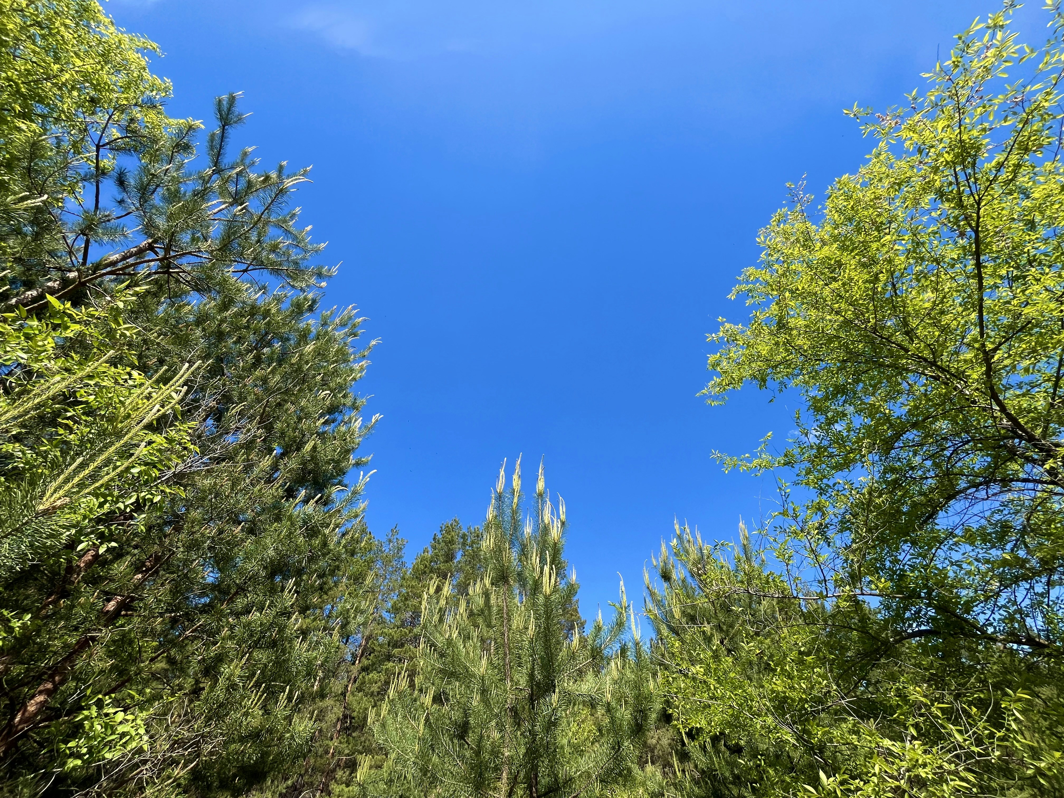 Photo by katrin_bloom