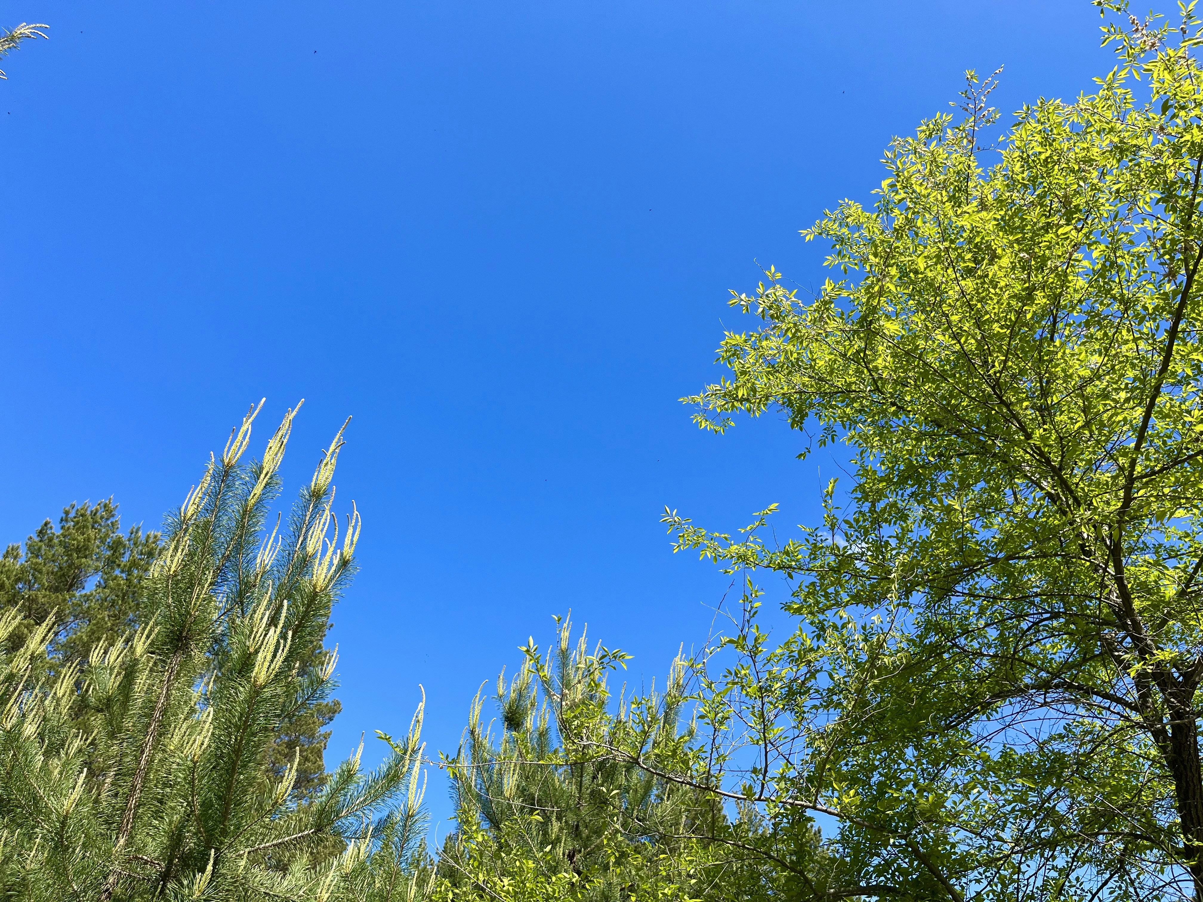 Photo by katrin_bloom