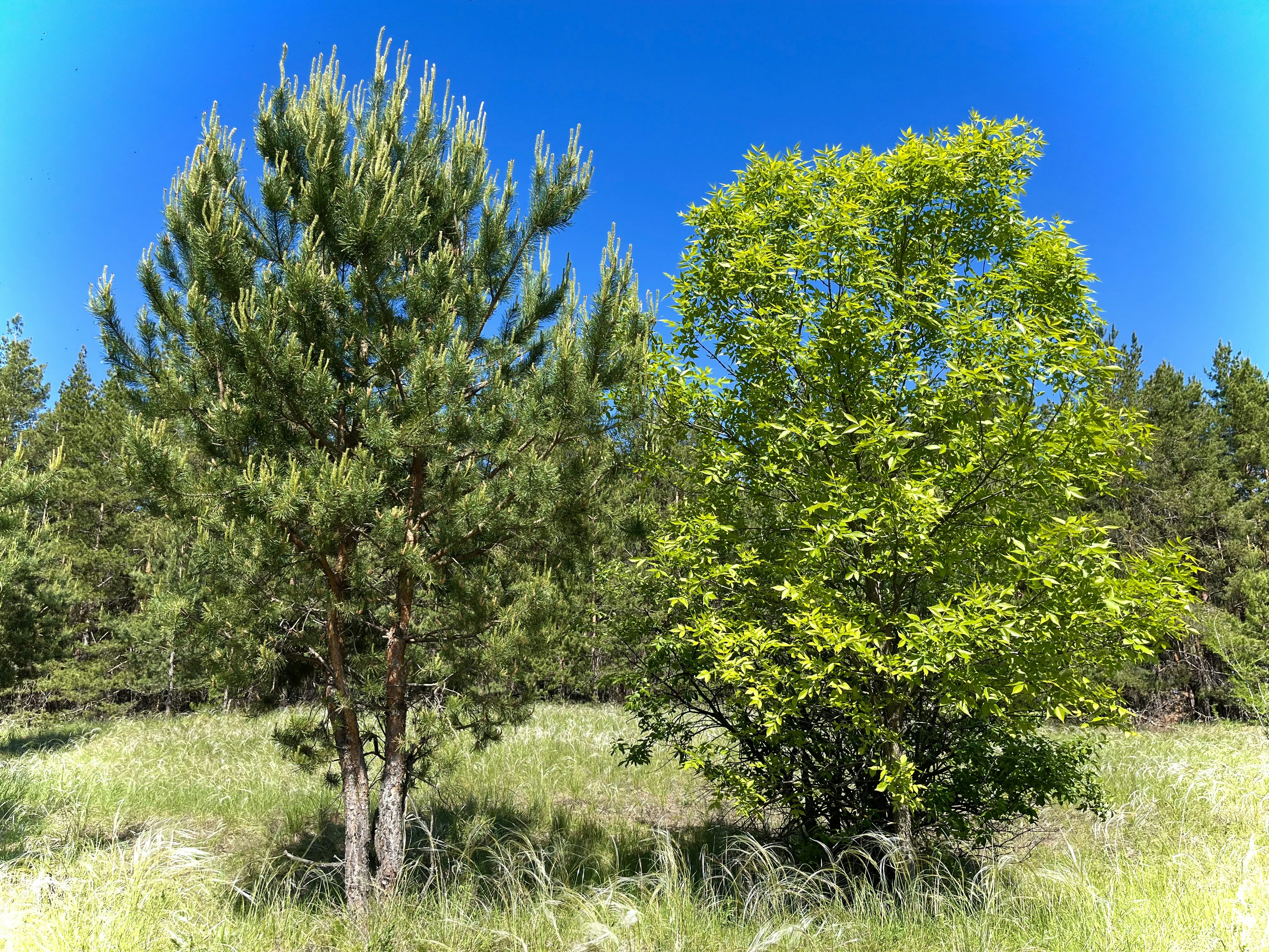 Photo by katrin_bloom