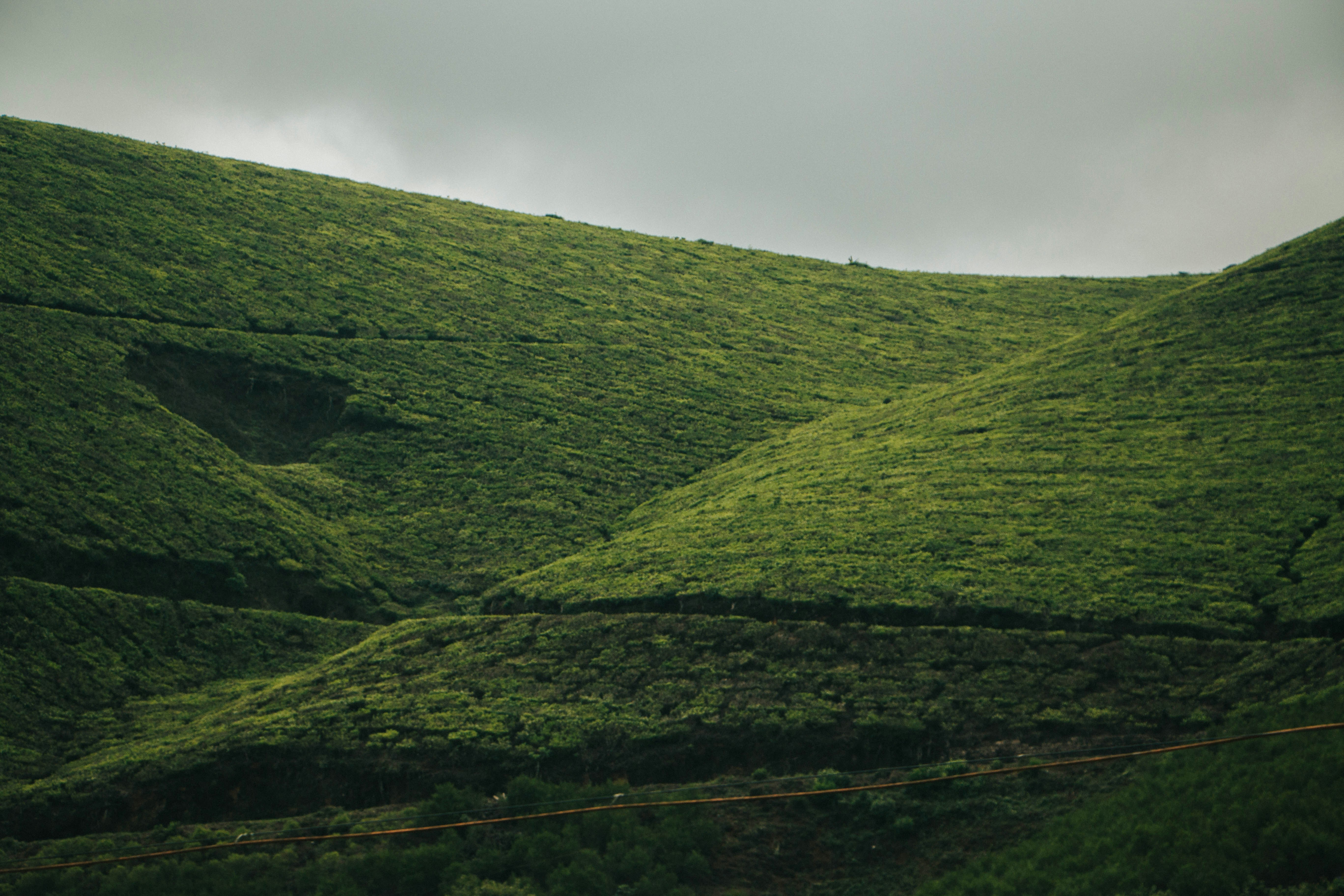 Photo by rishabh_mathew