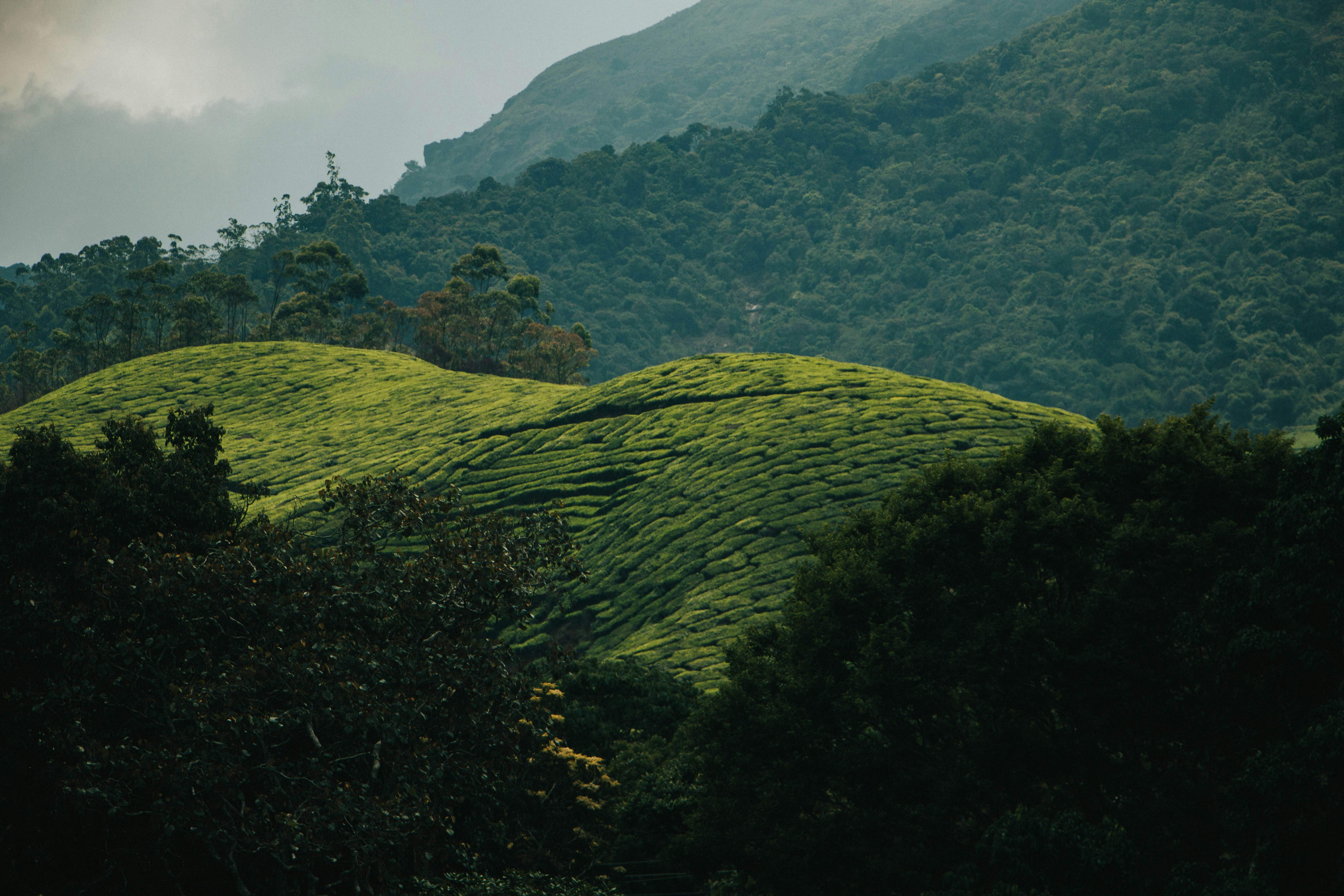 Photo by rishabh_mathew