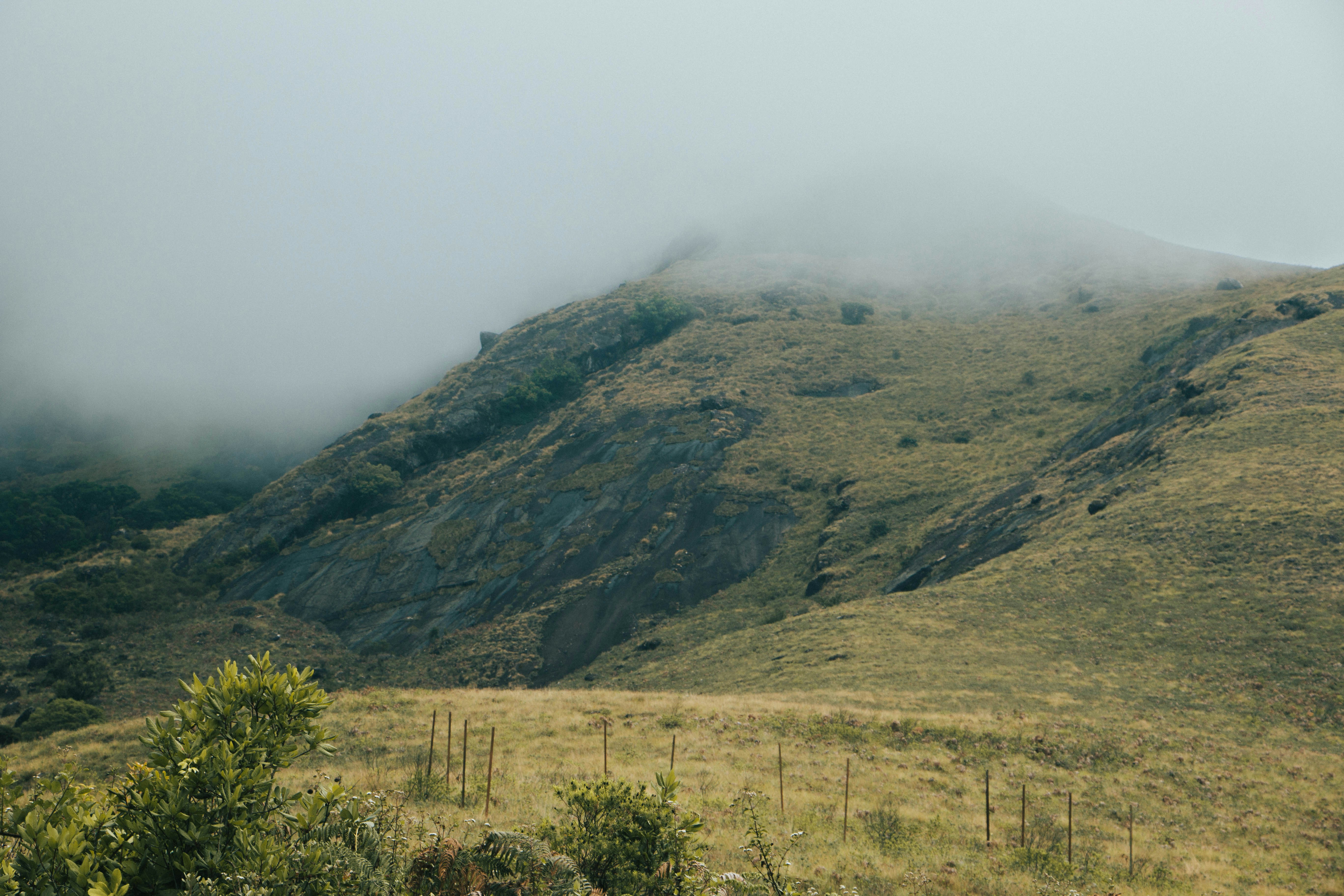 Photo by rishabh_mathew