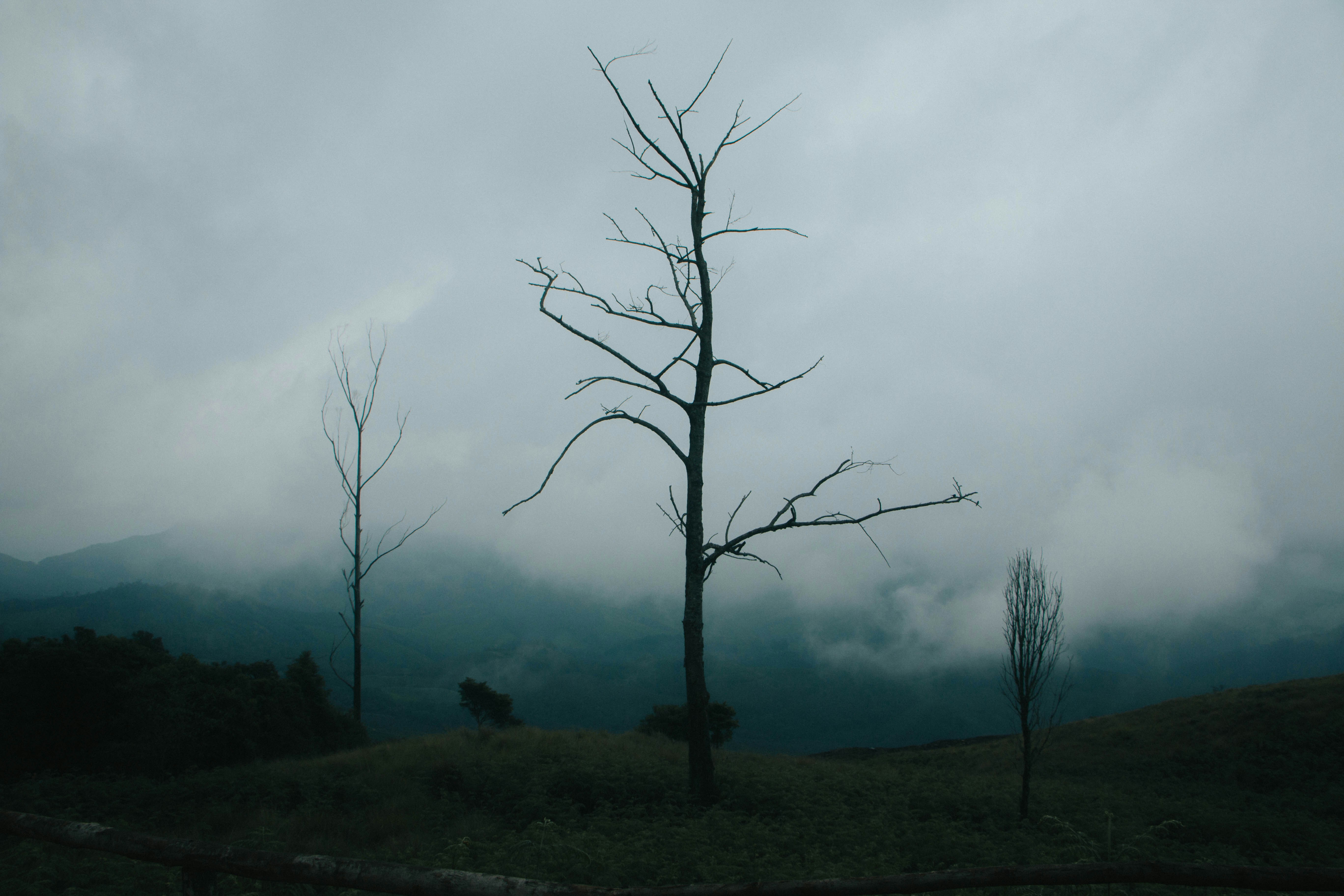 Photo by rishabh_mathew