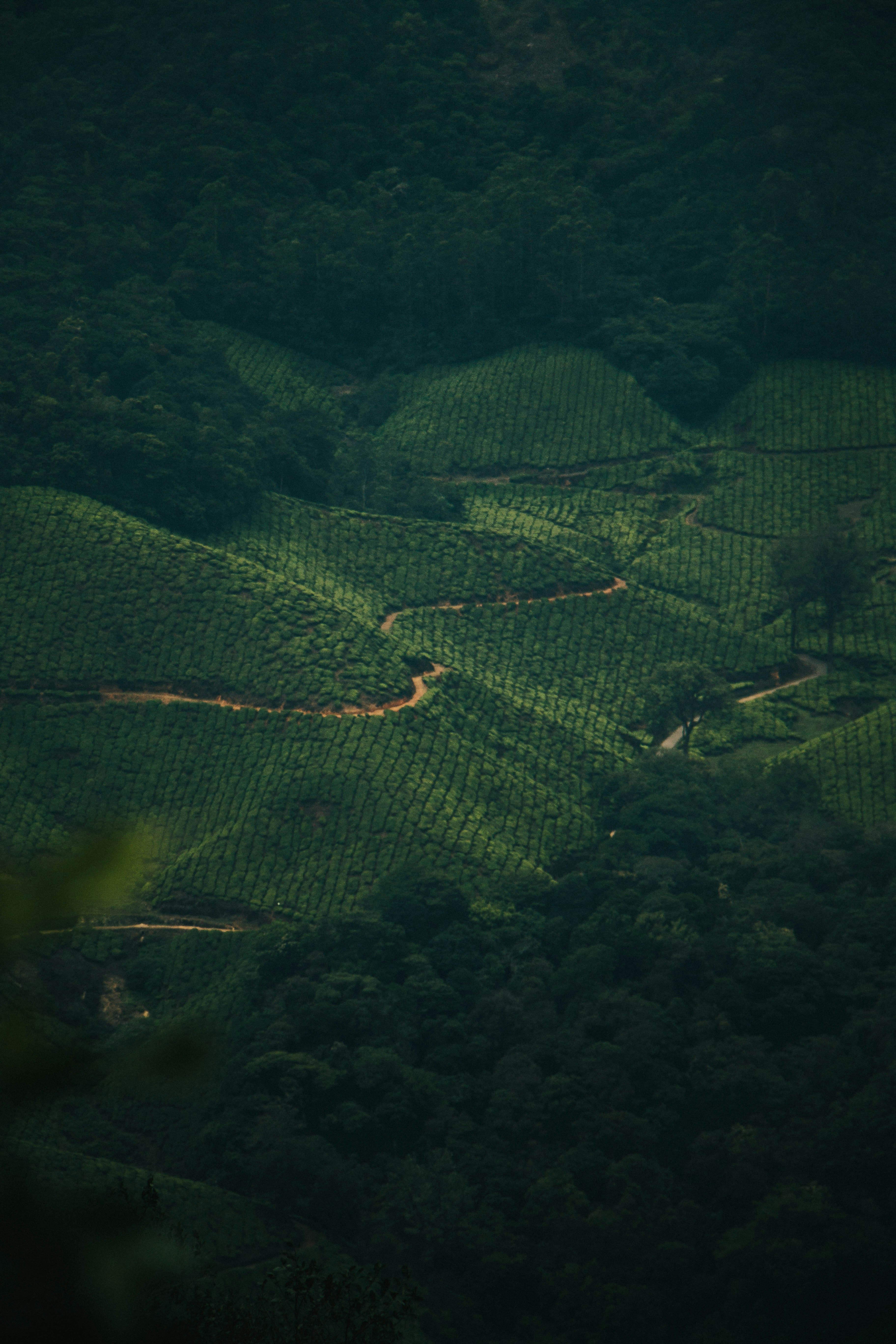 Photo by rishabh_mathew