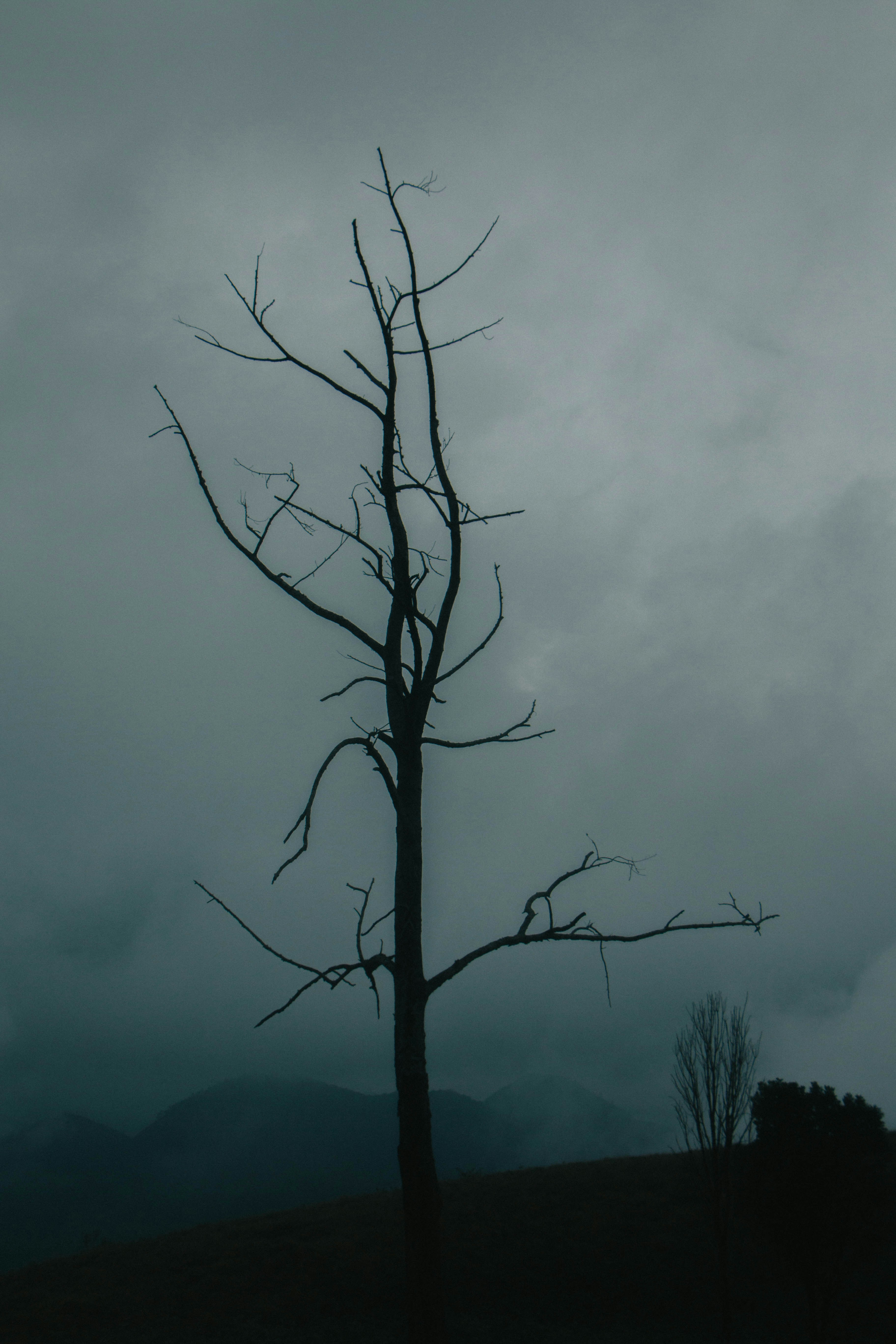 Photo by rishabh_mathew