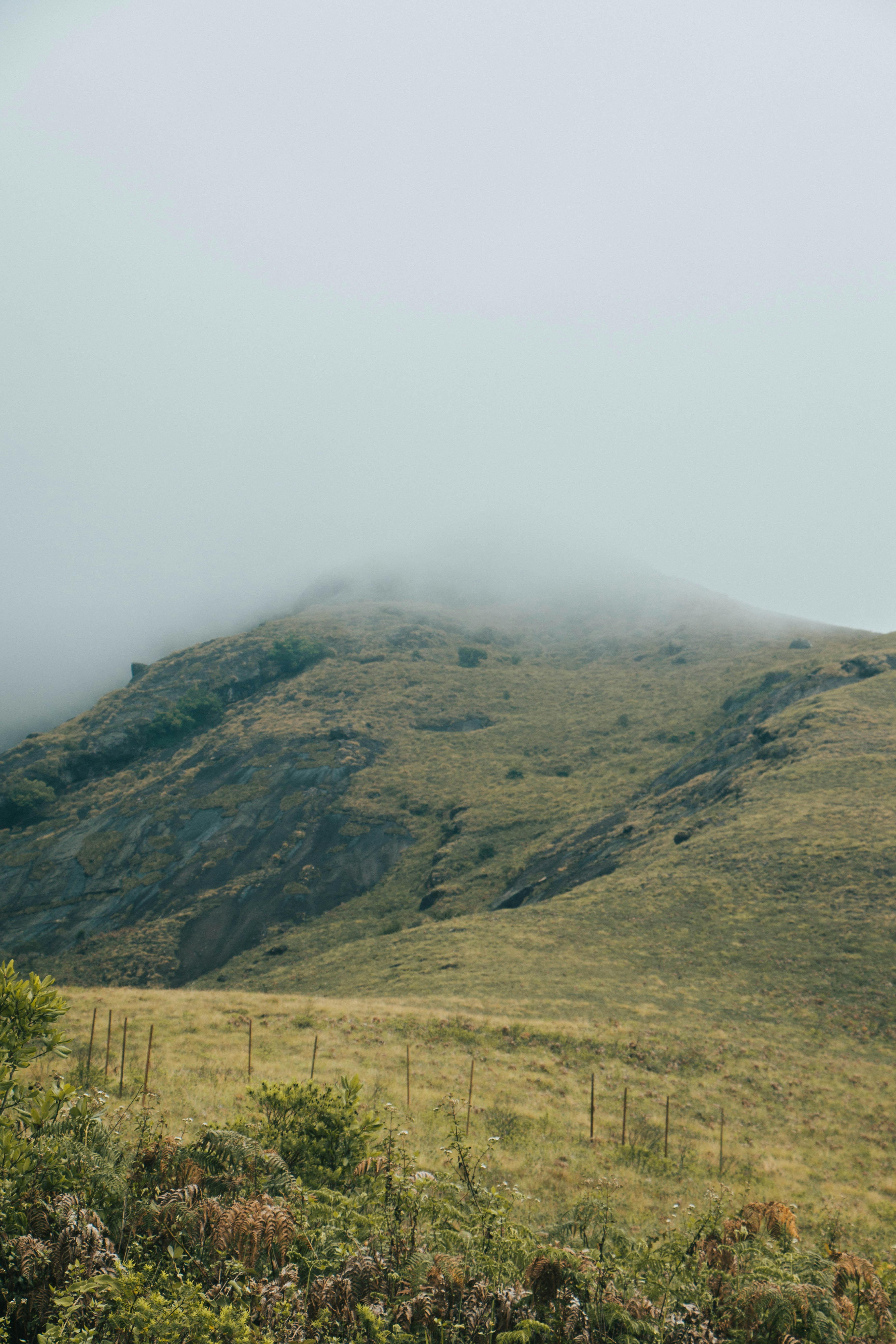 Photo by rishabh_mathew