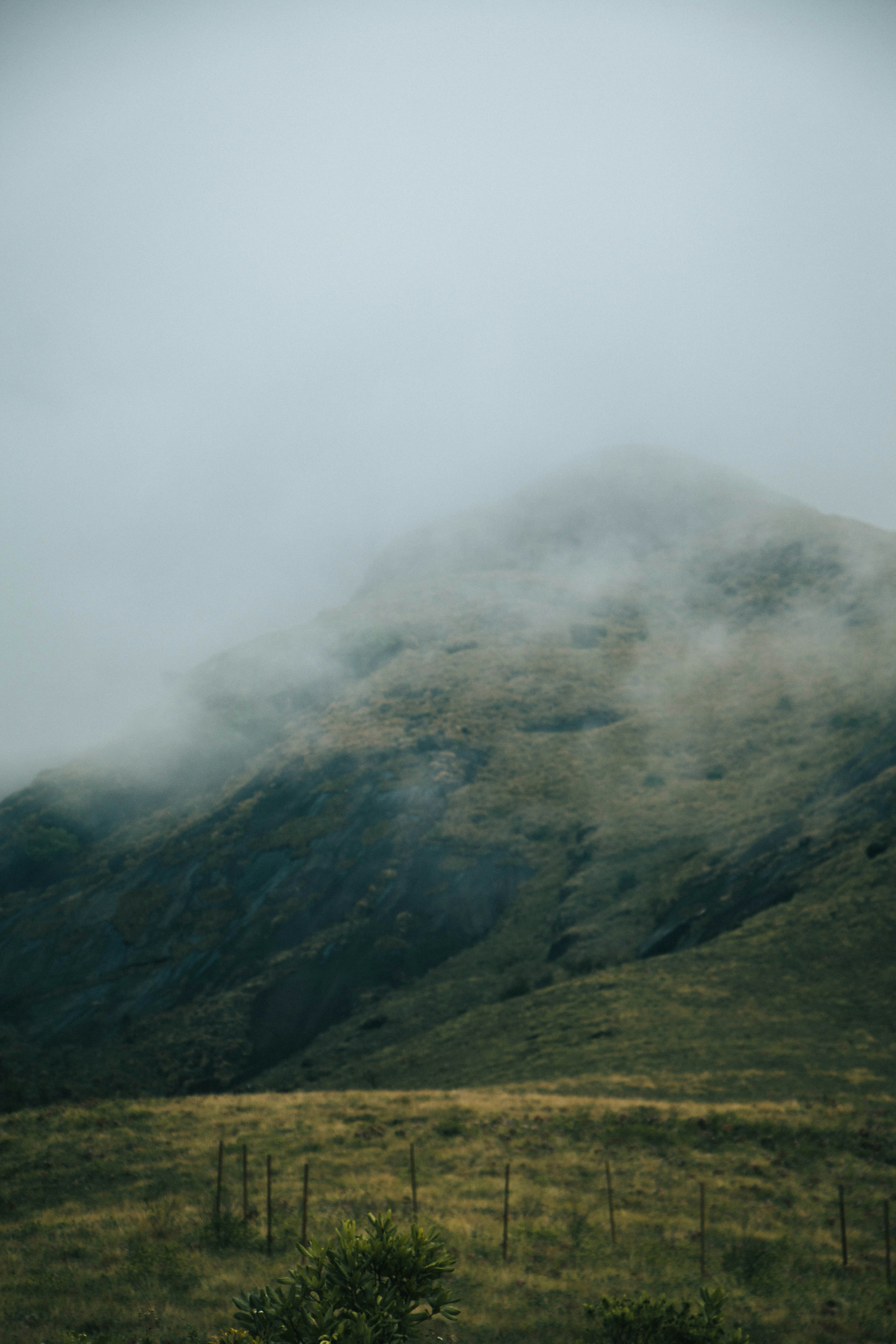 Photo by rishabh_mathew