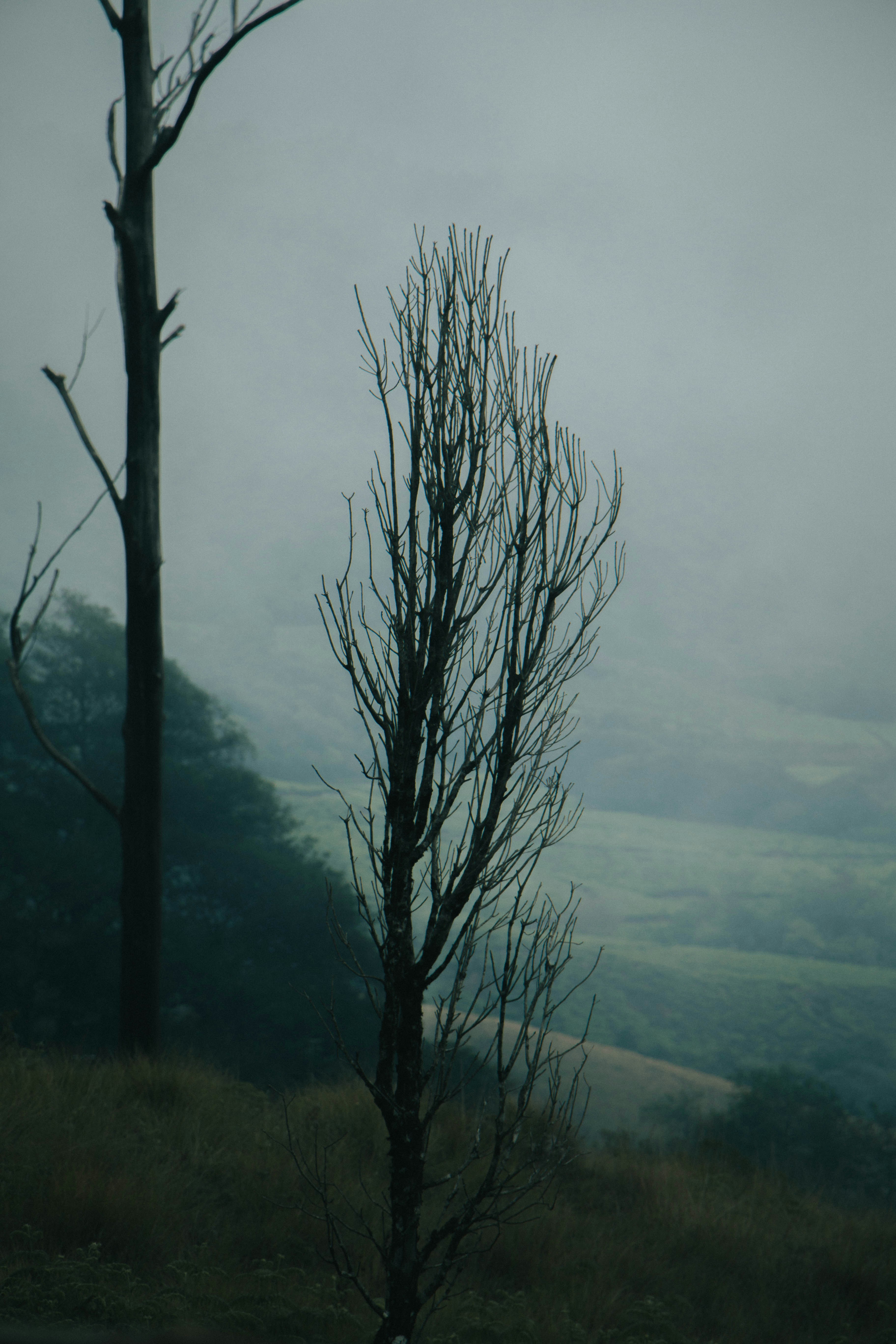 Photo by rishabh_mathew