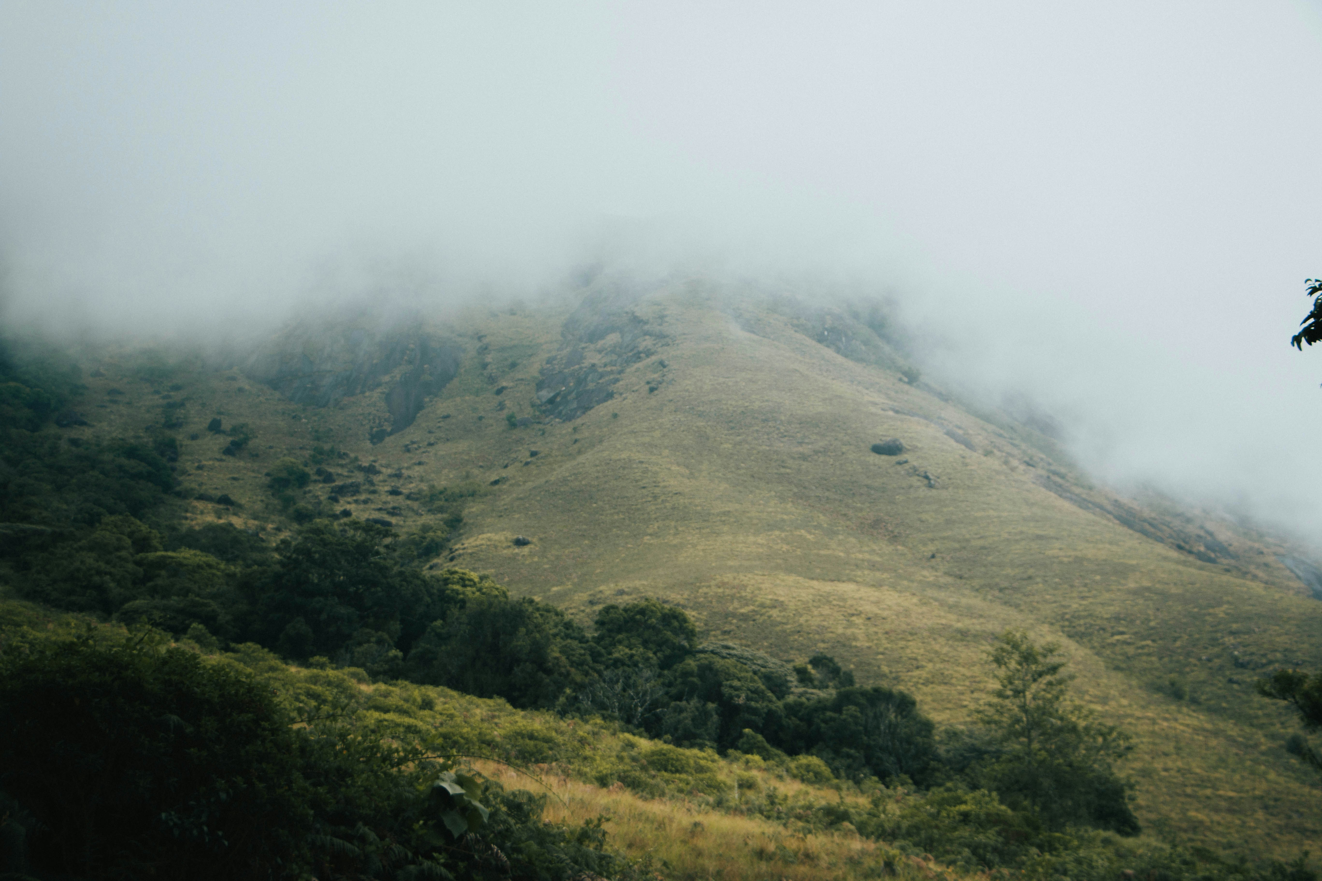 Photo by rishabh_mathew