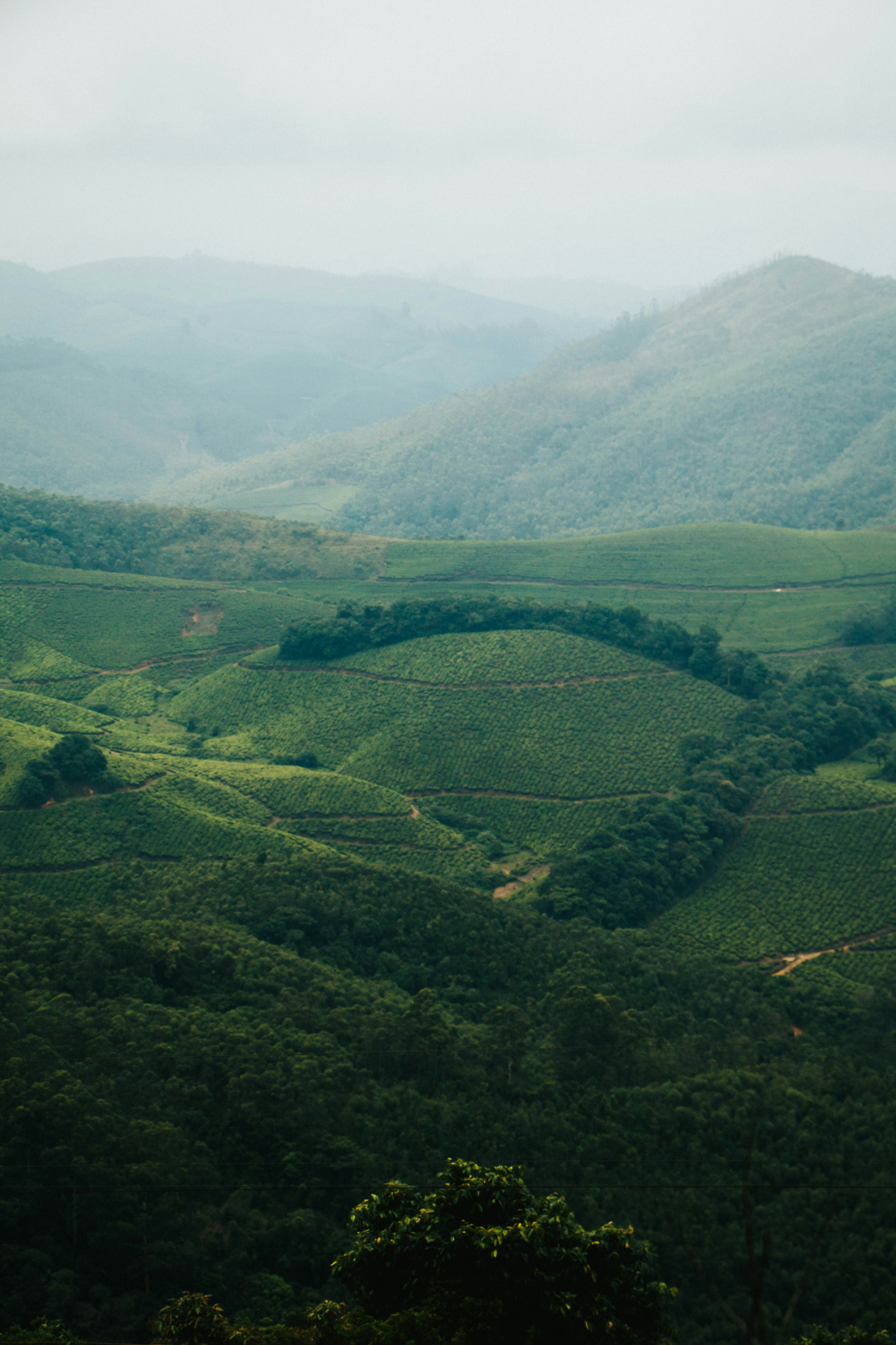 Photo by rishabh_mathew