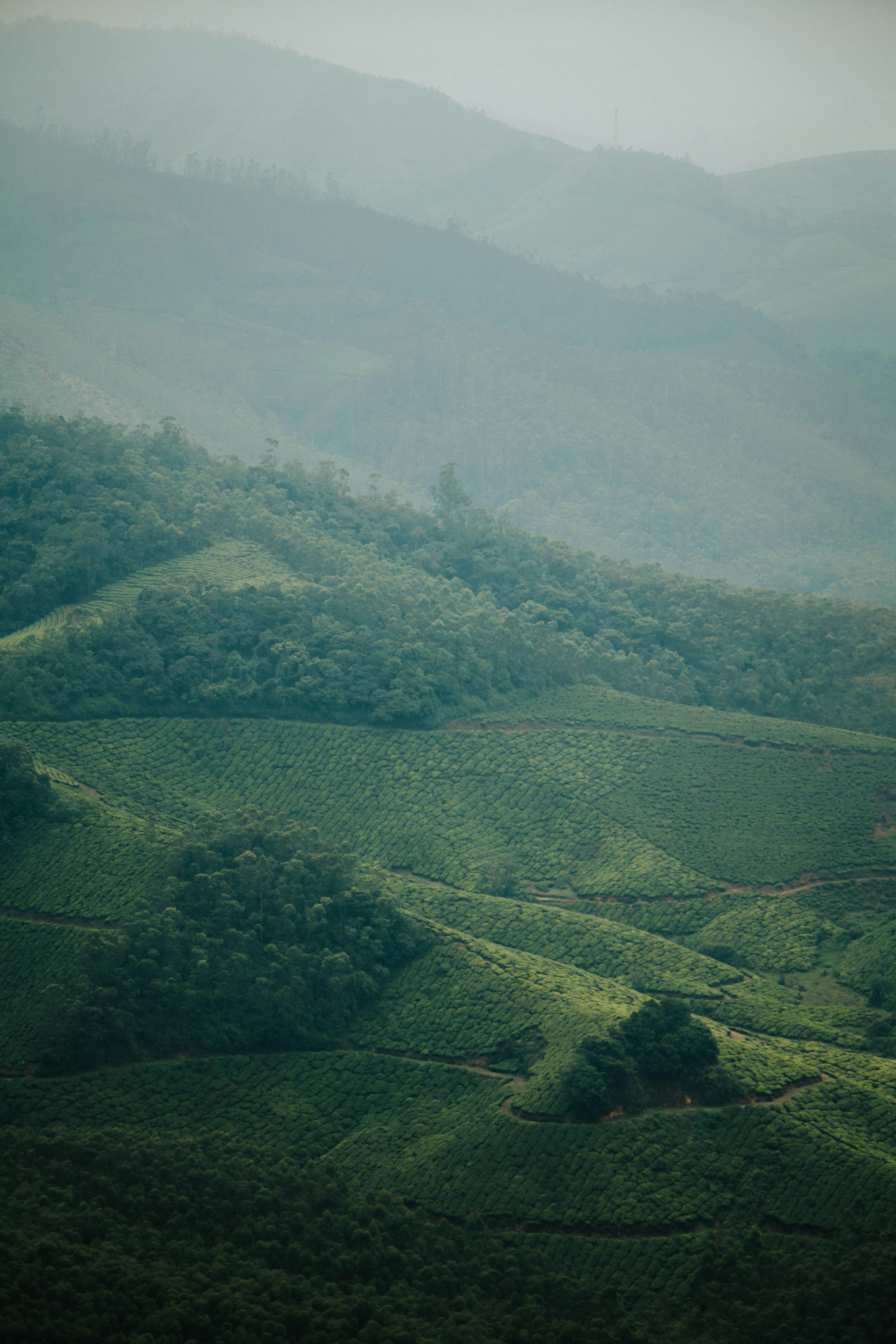 Photo by rishabh_mathew