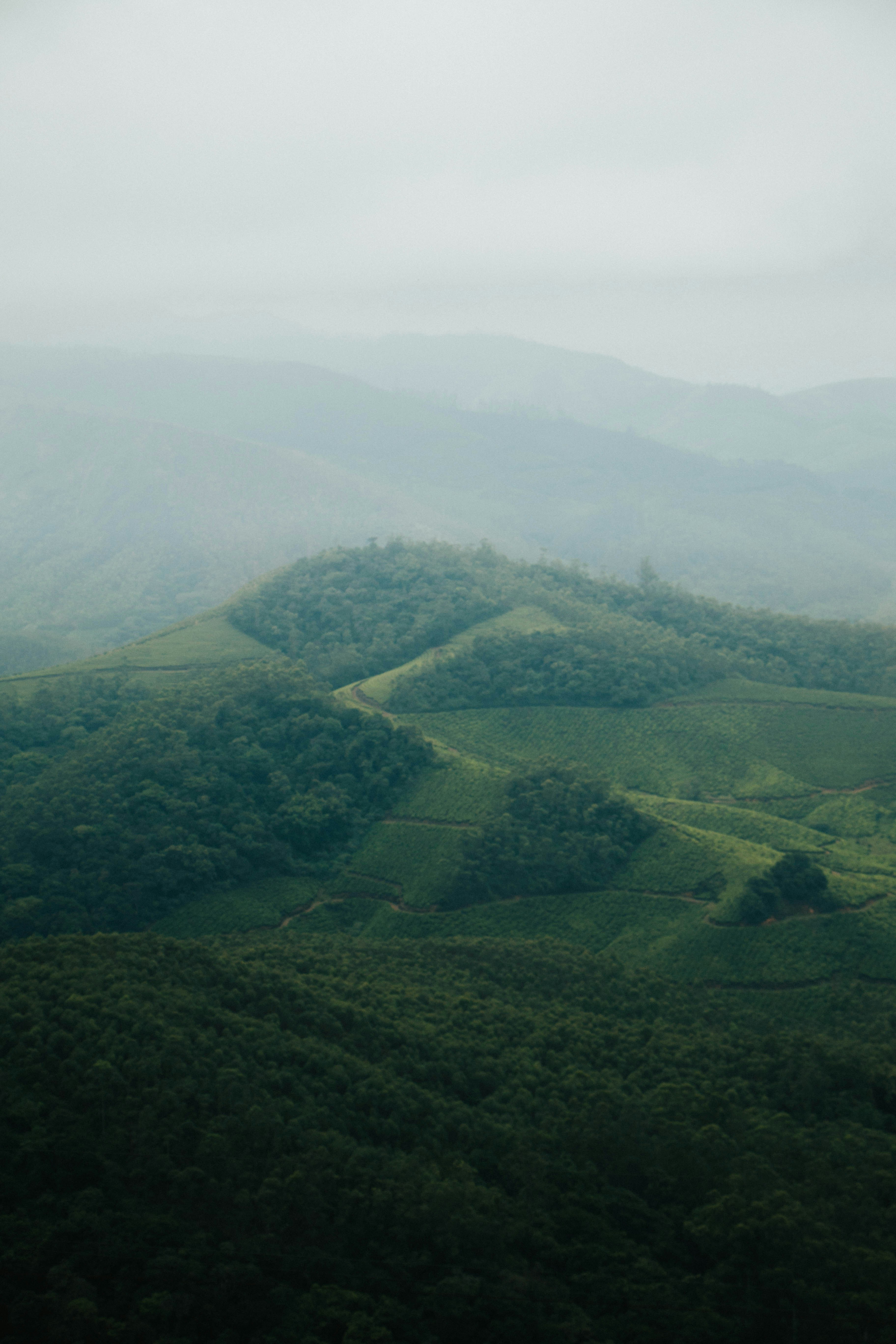 Photo by rishabh_mathew