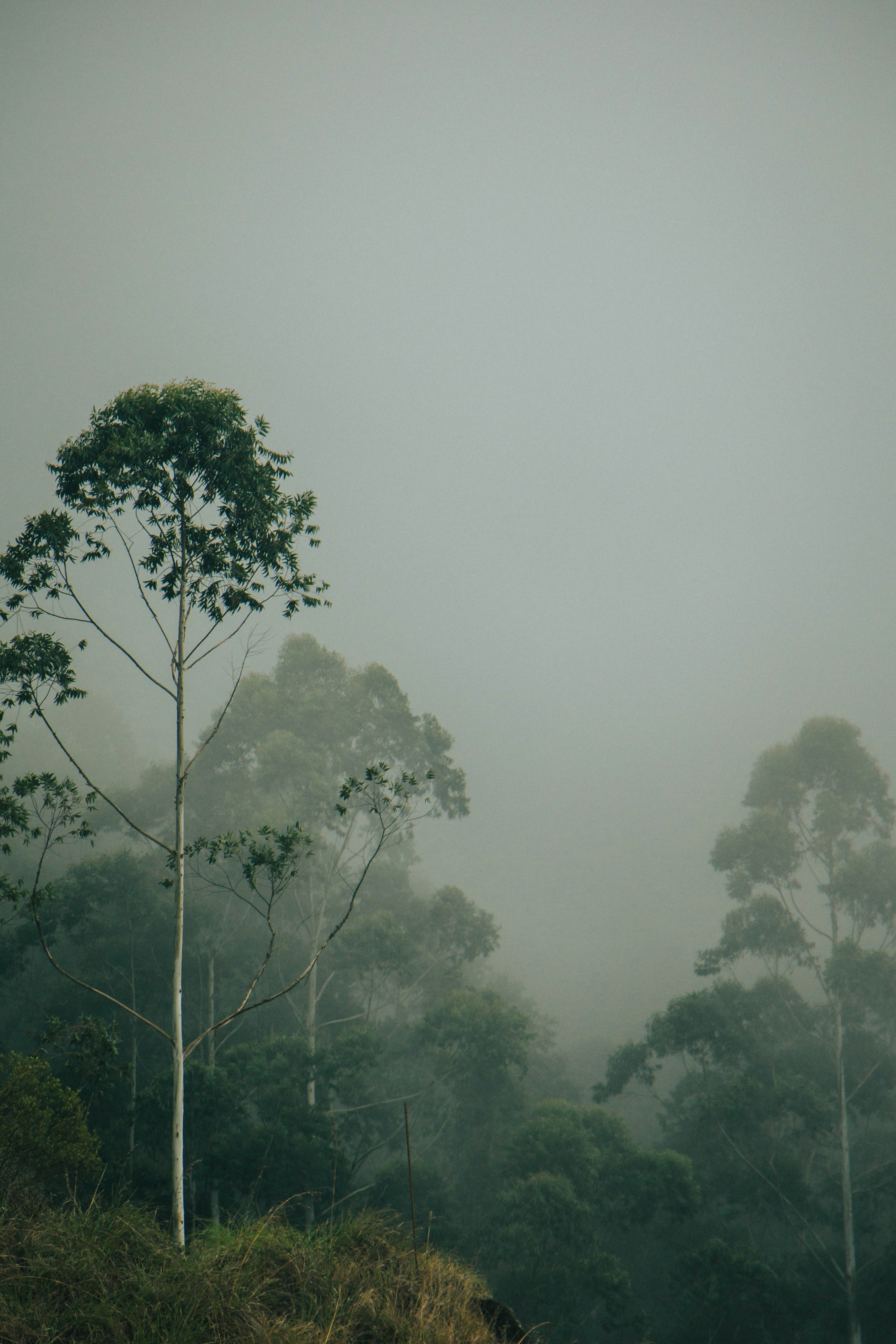 Photo by rishabh_mathew