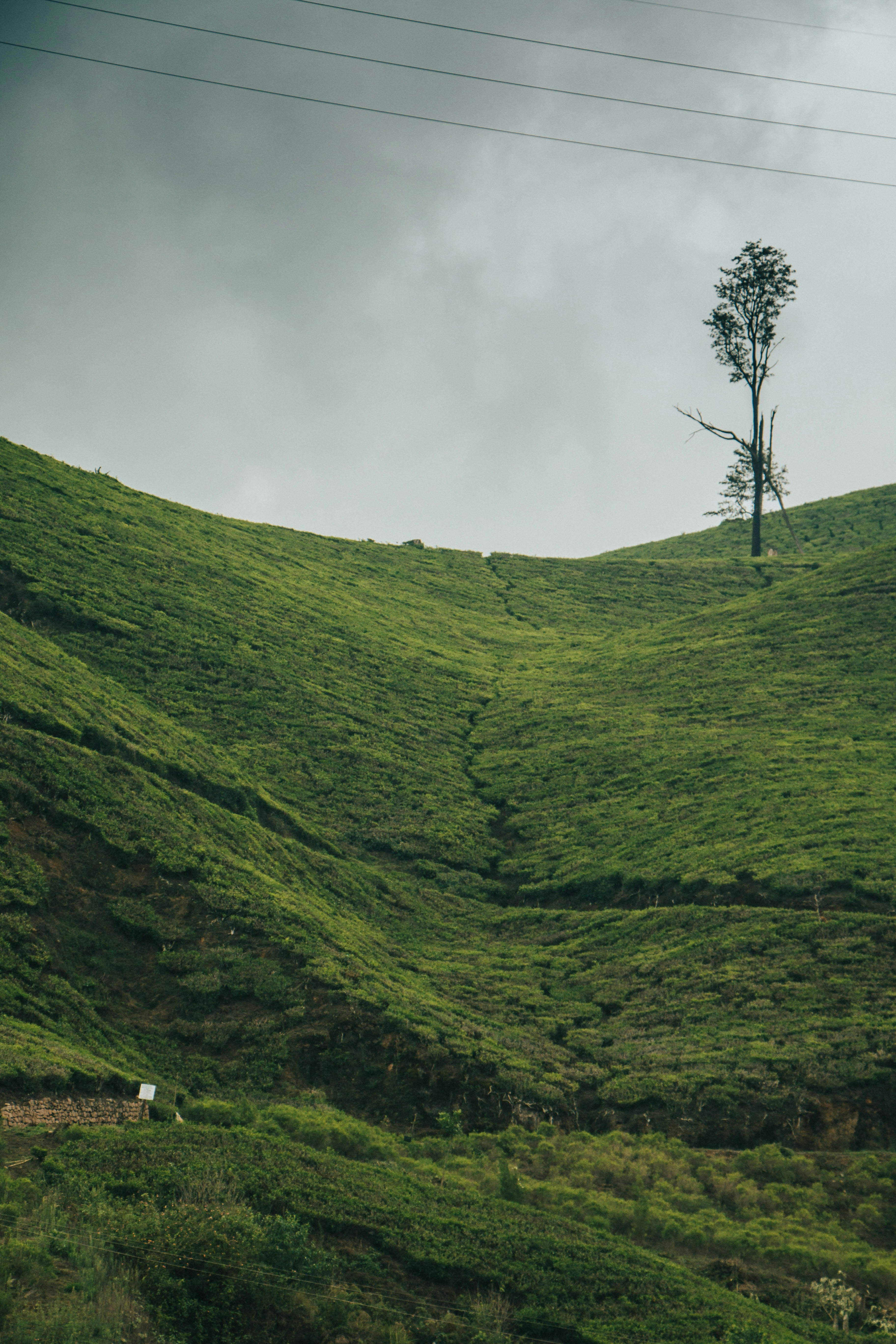 Photo by rishabh_mathew