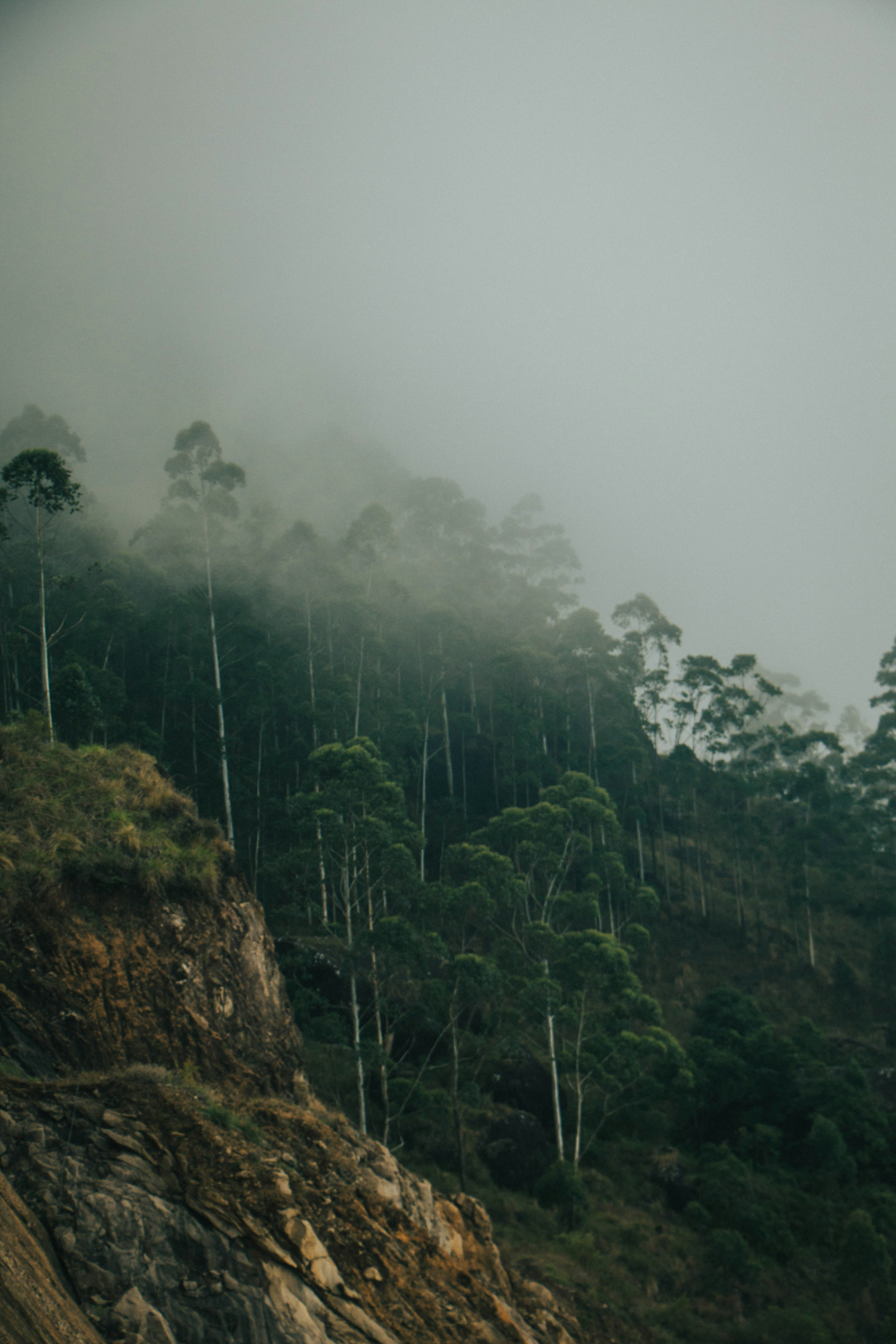 Photo by rishabh_mathew