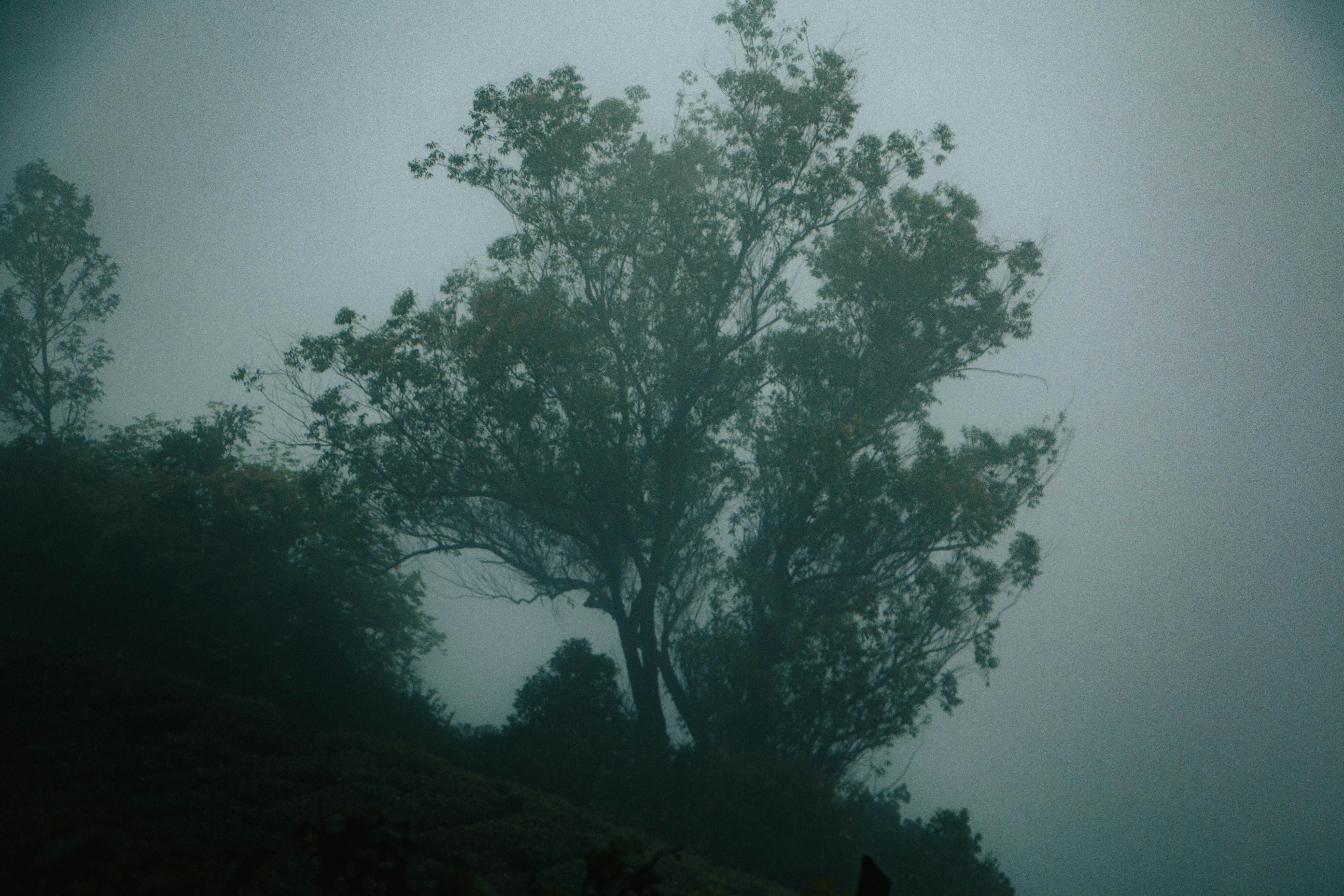 Photo by rishabh_mathew