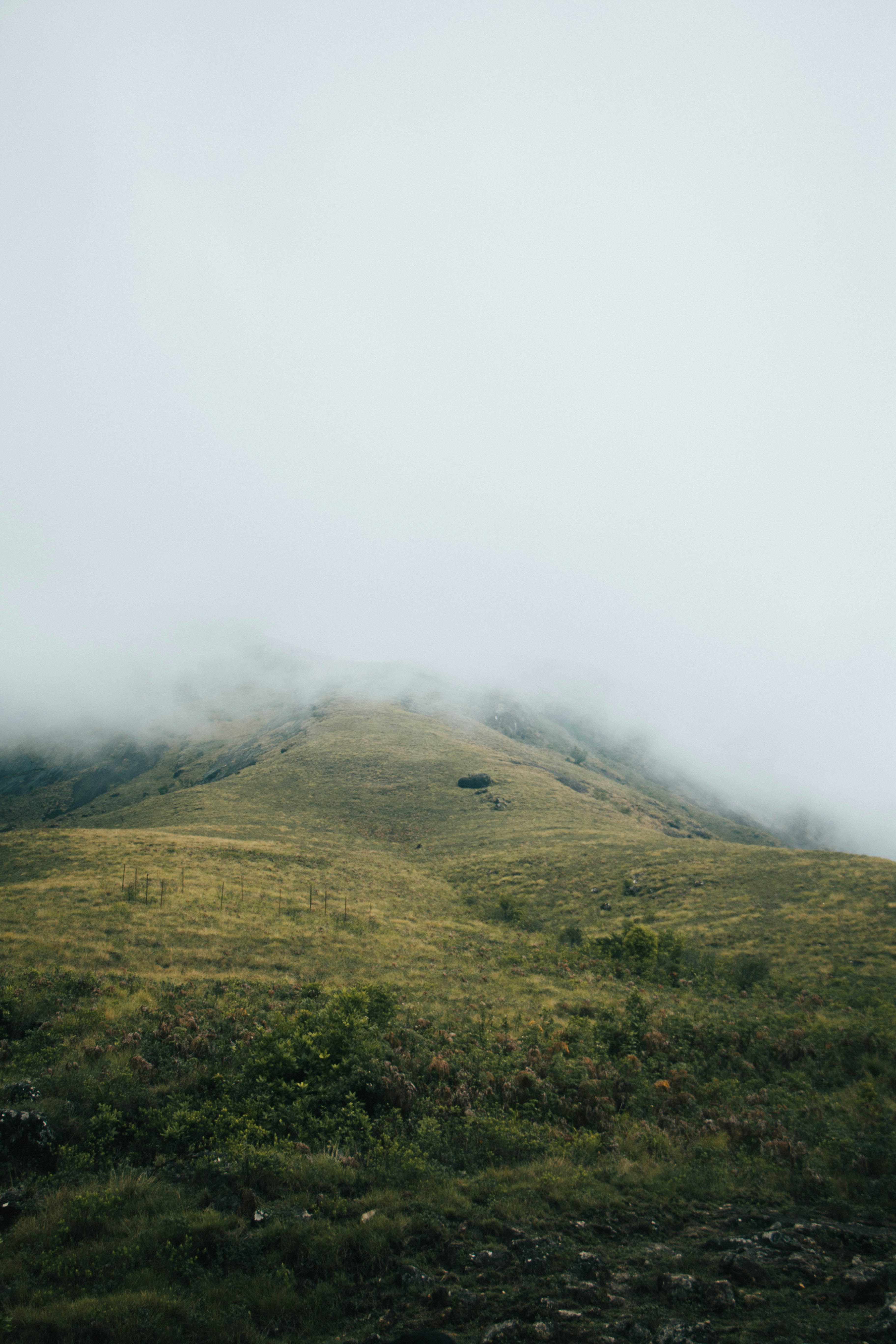 Photo by rishabh_mathew