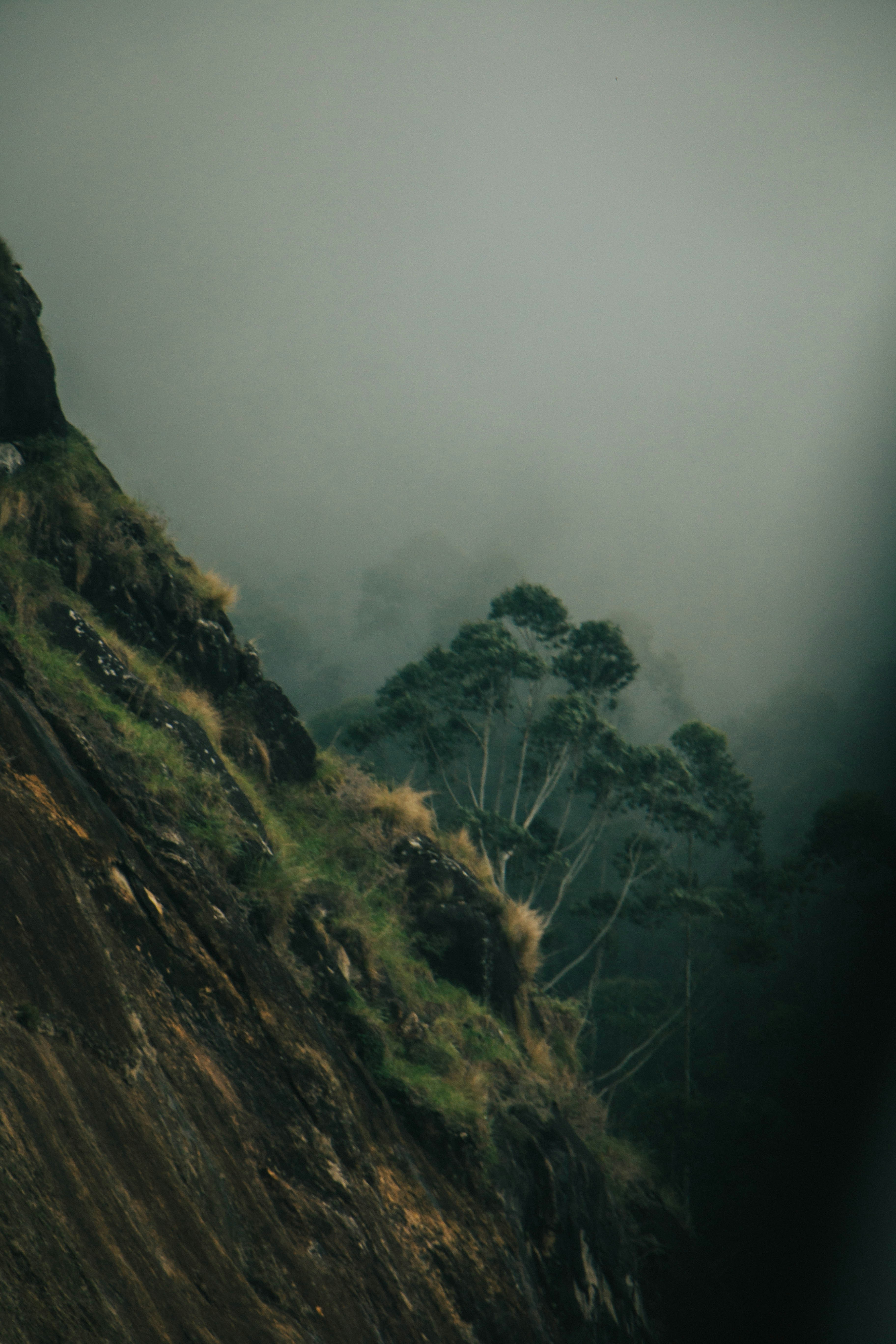 Photo by rishabh_mathew