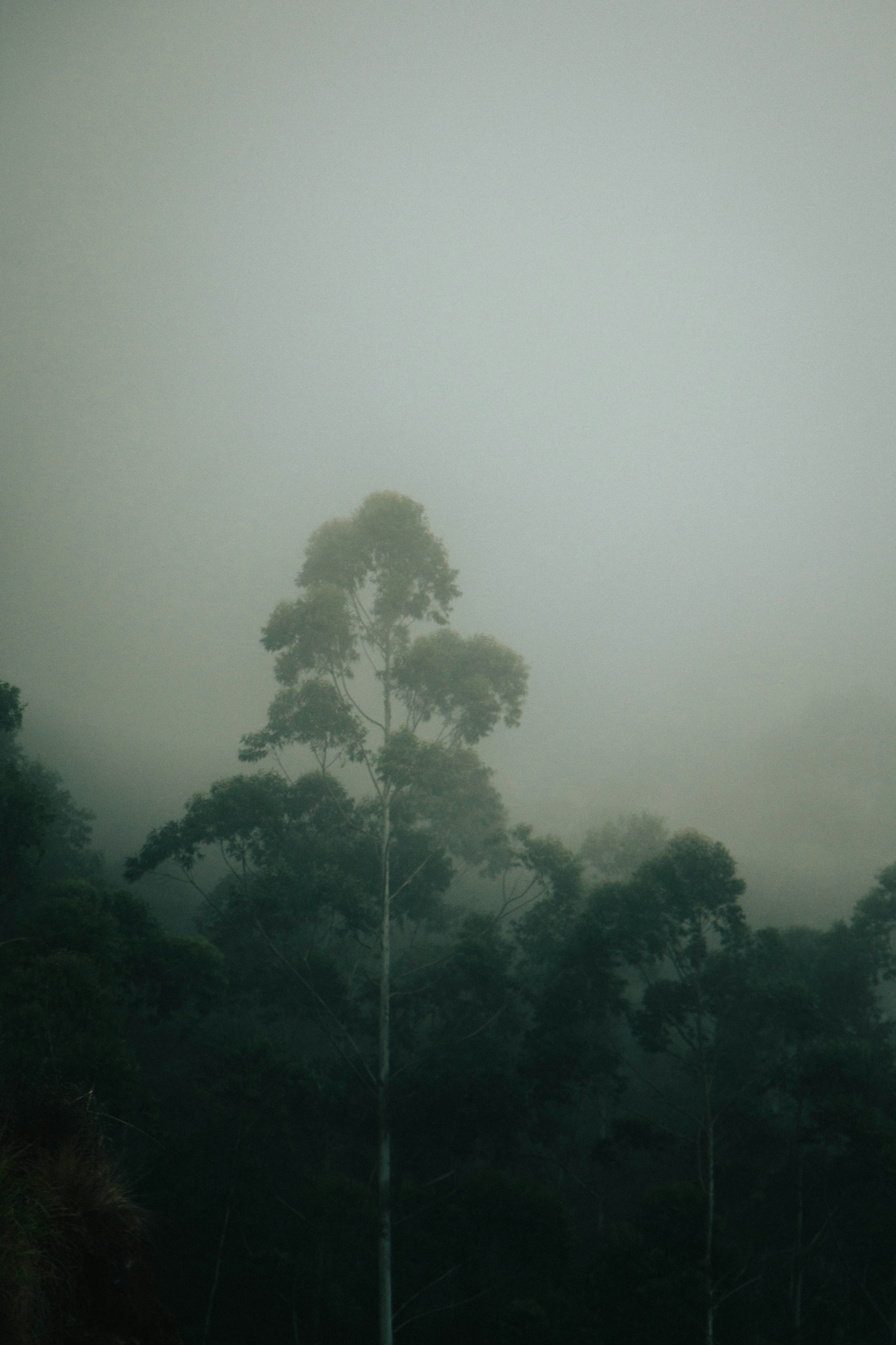 Photo by rishabh_mathew