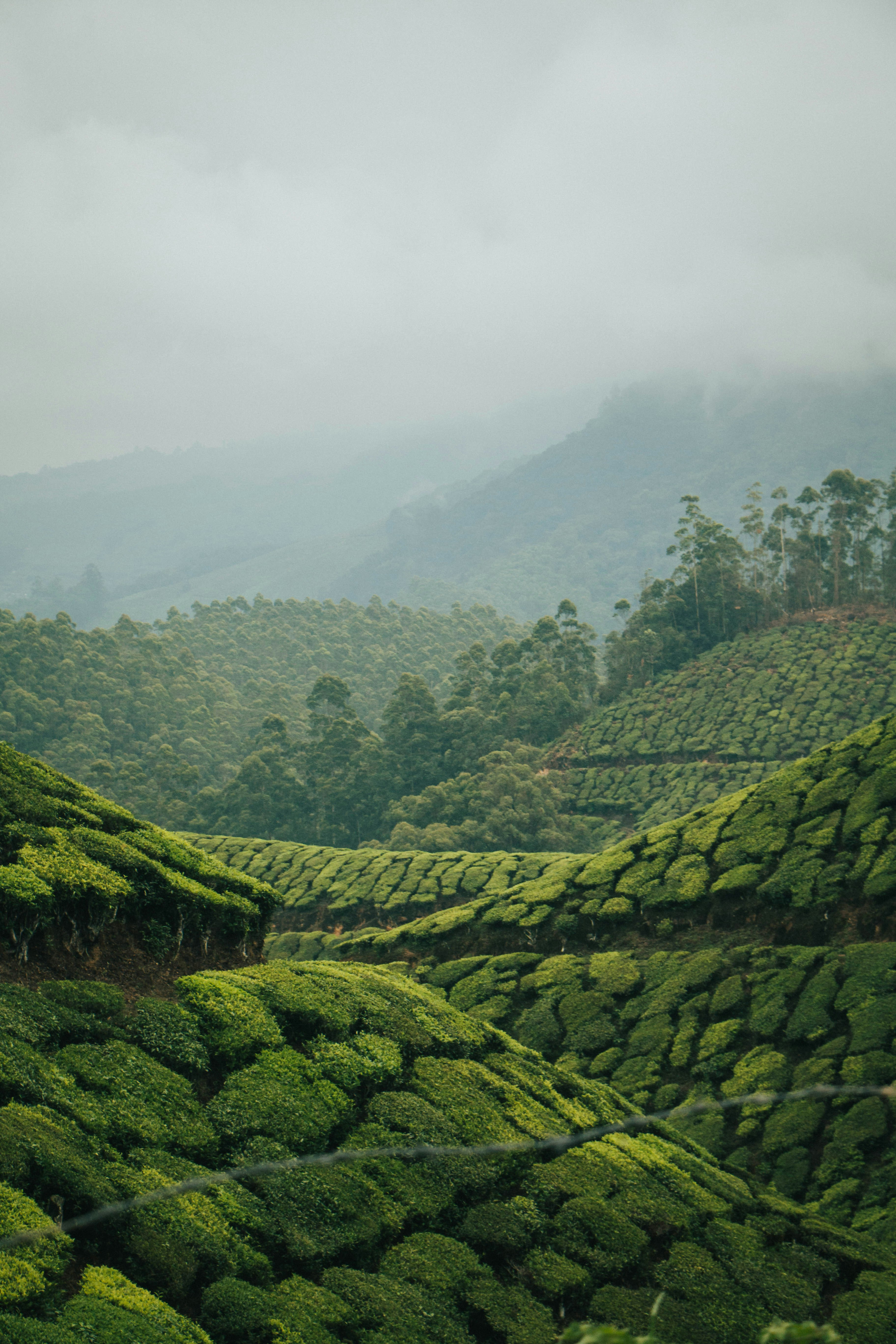 Photo by rishabh_mathew