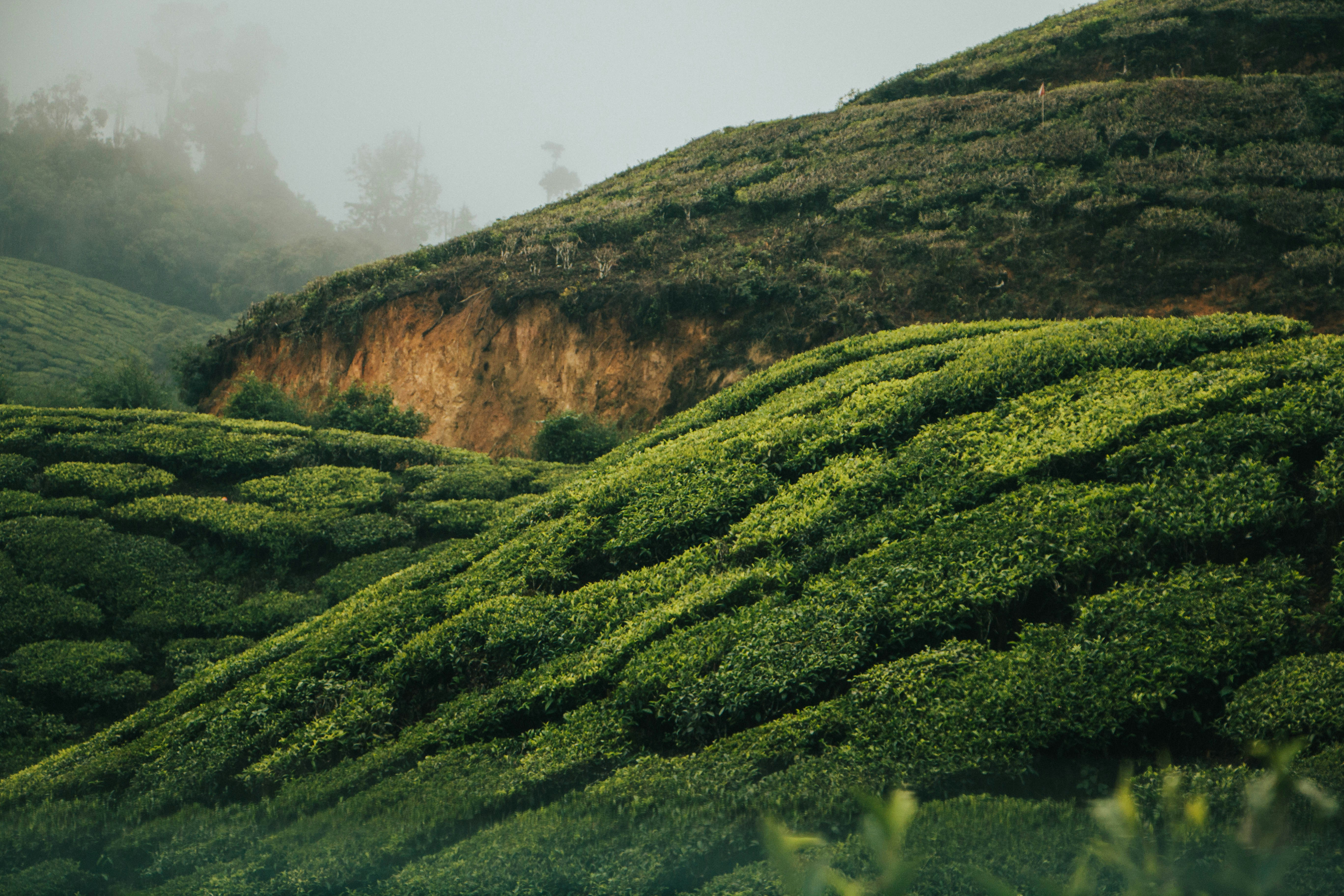 Photo by rishabh_mathew