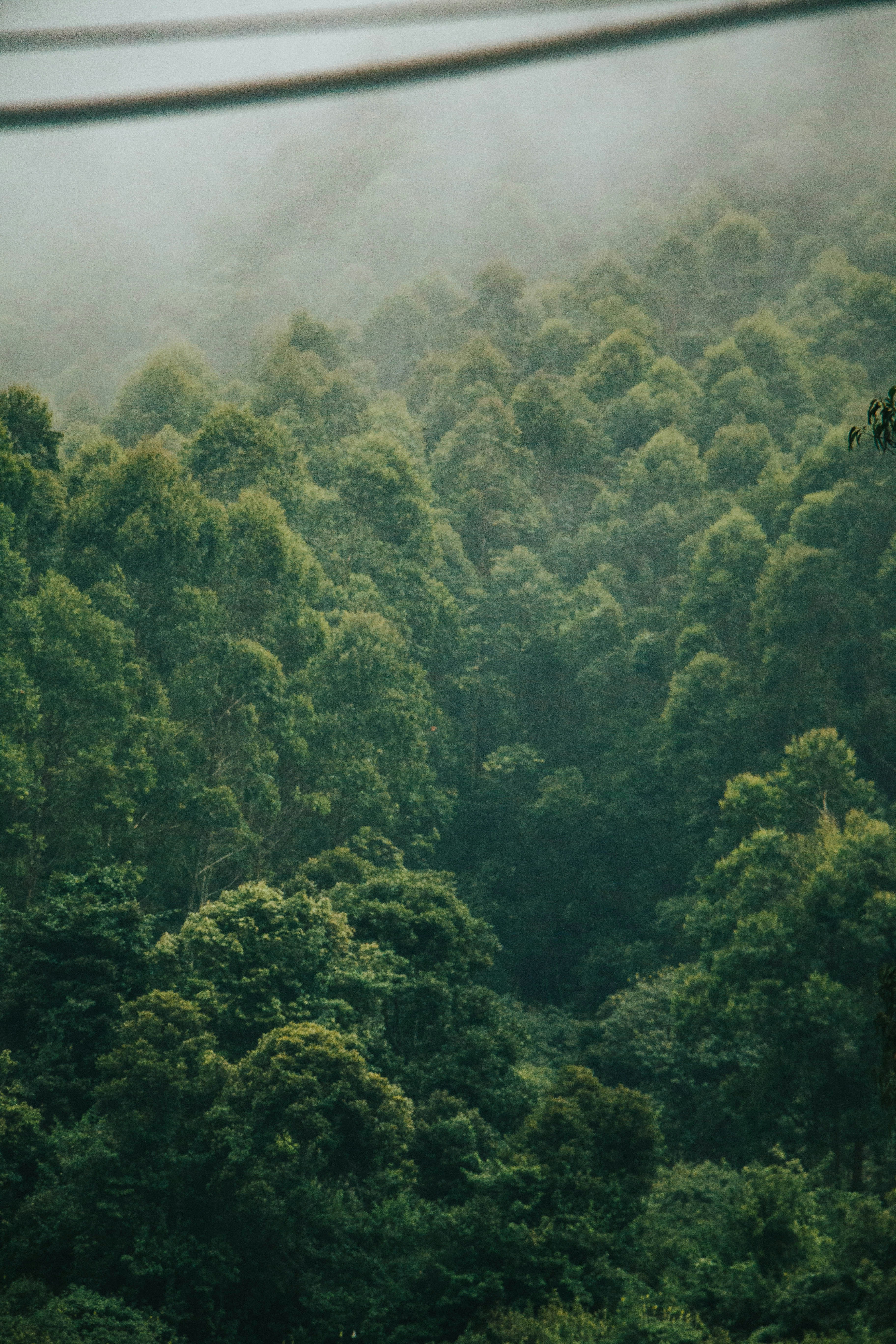 Photo by rishabh_mathew