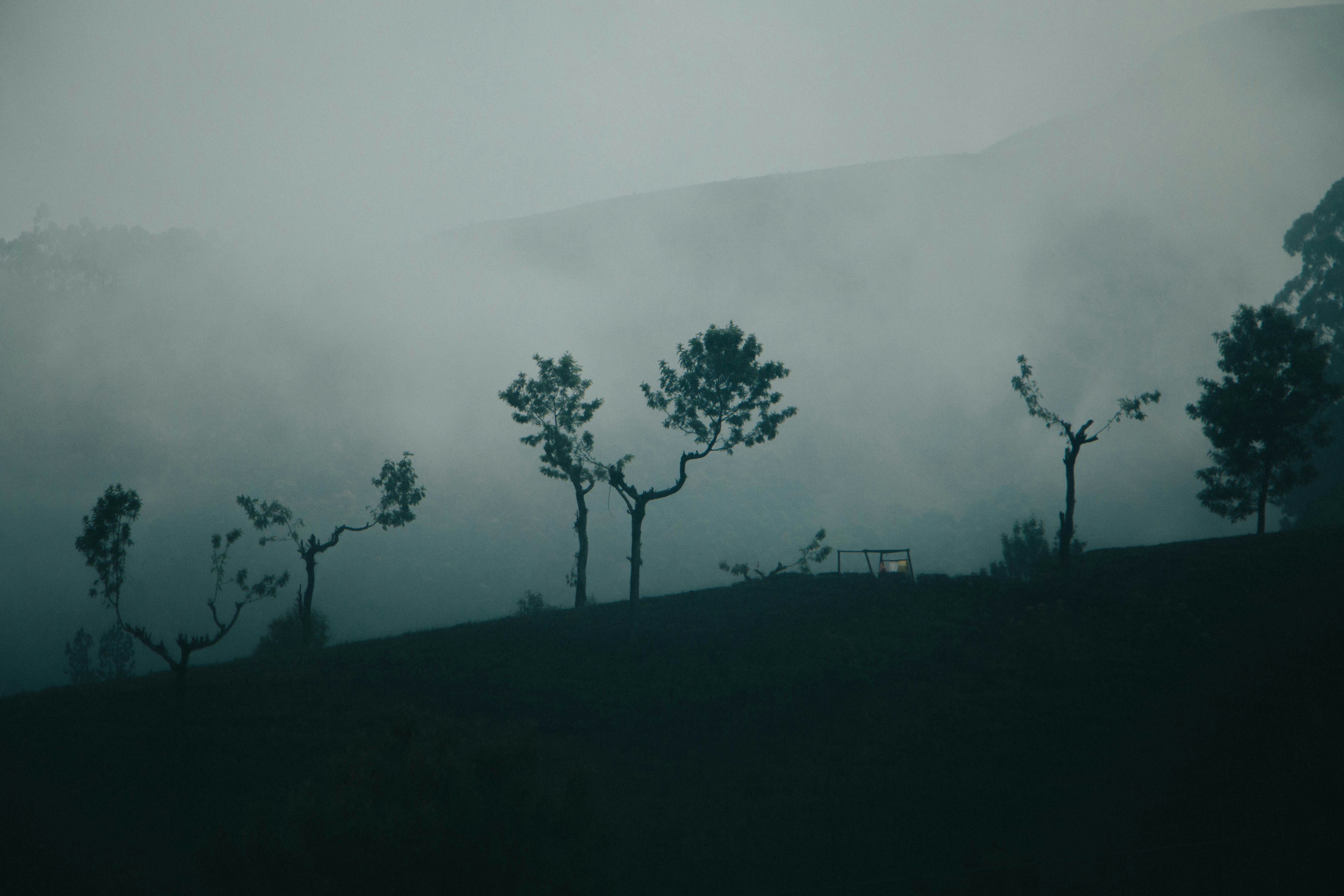 Photo by rishabh_mathew