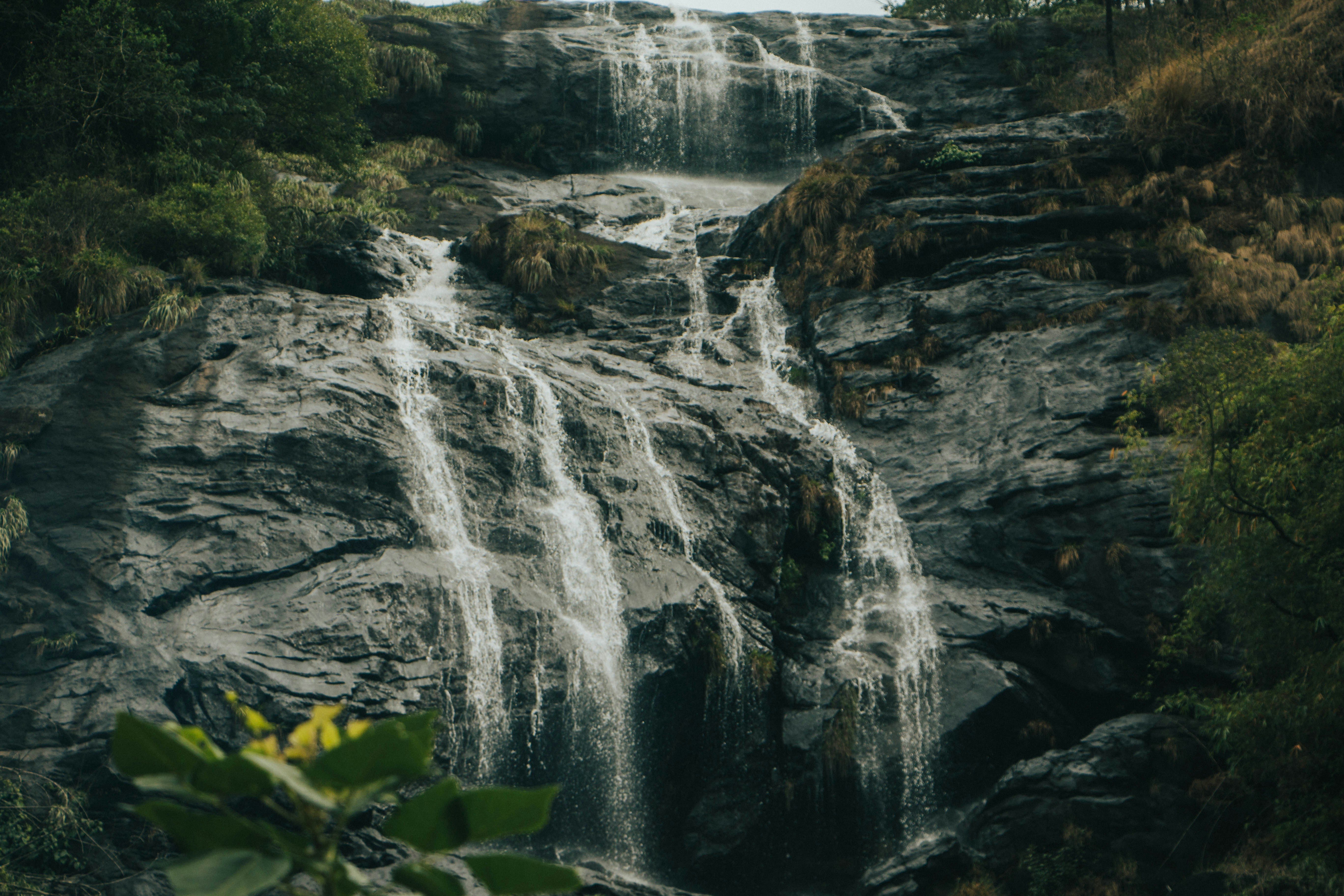 Photo by rishabh_mathew