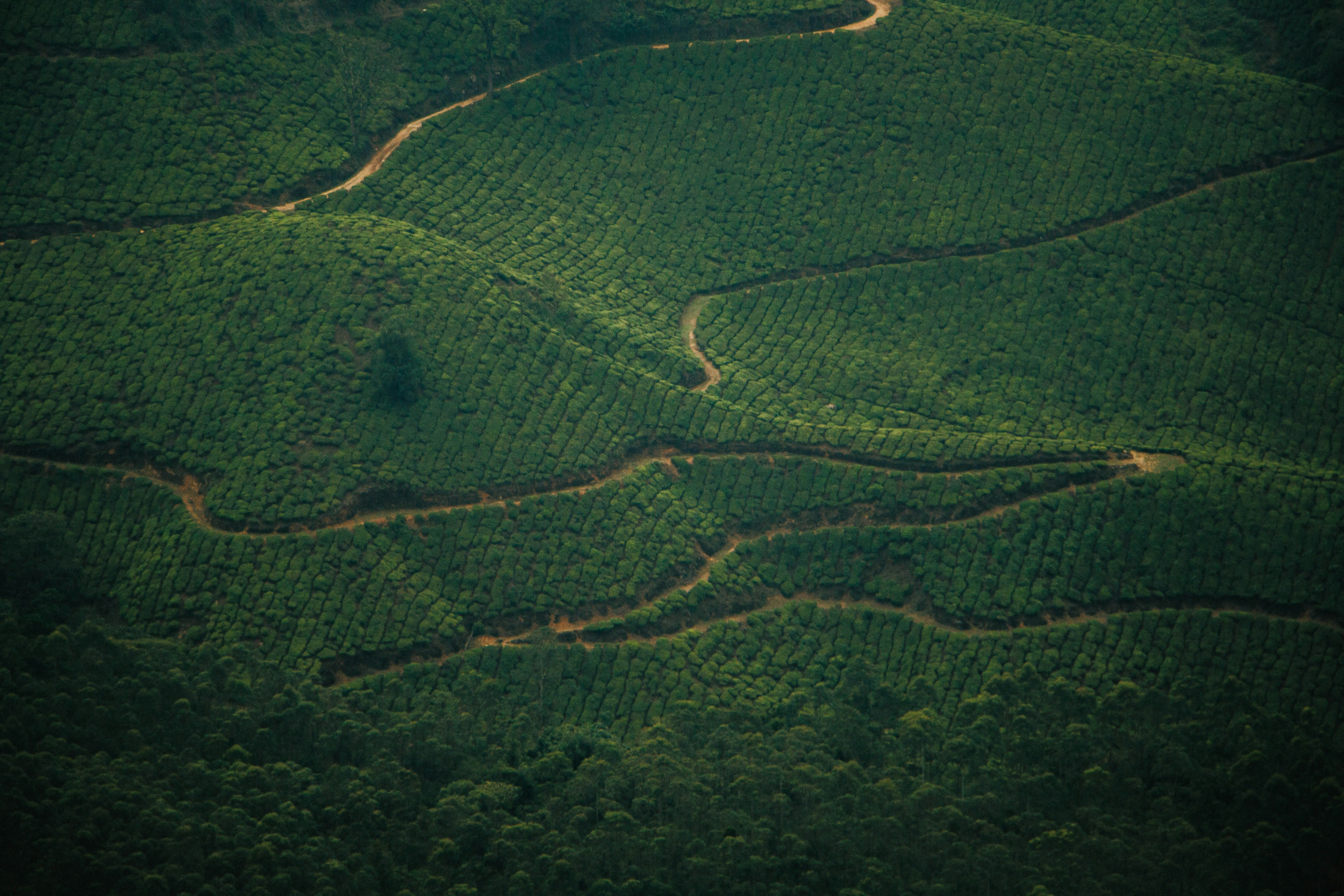 Photo by rishabh_mathew