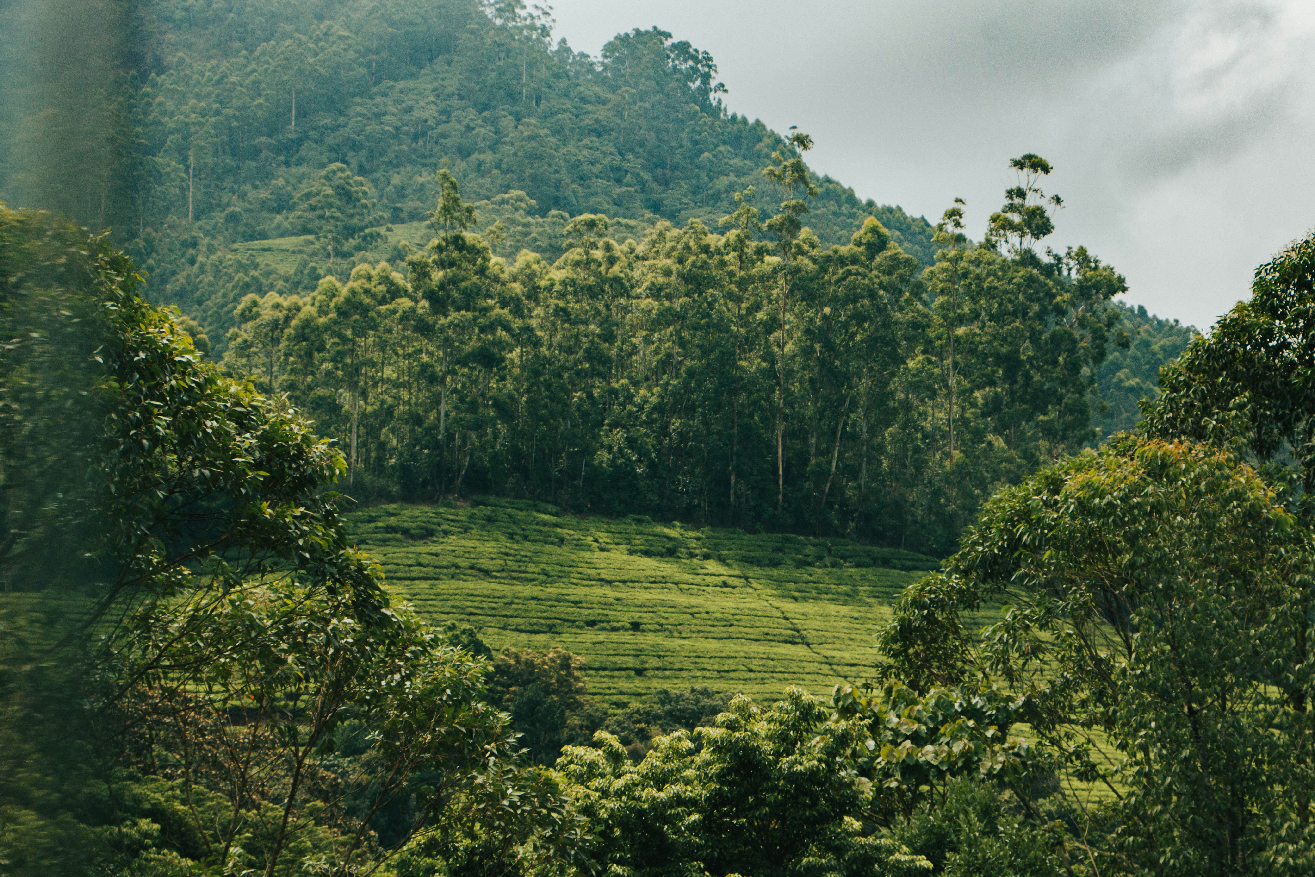 Photo by rishabh_mathew