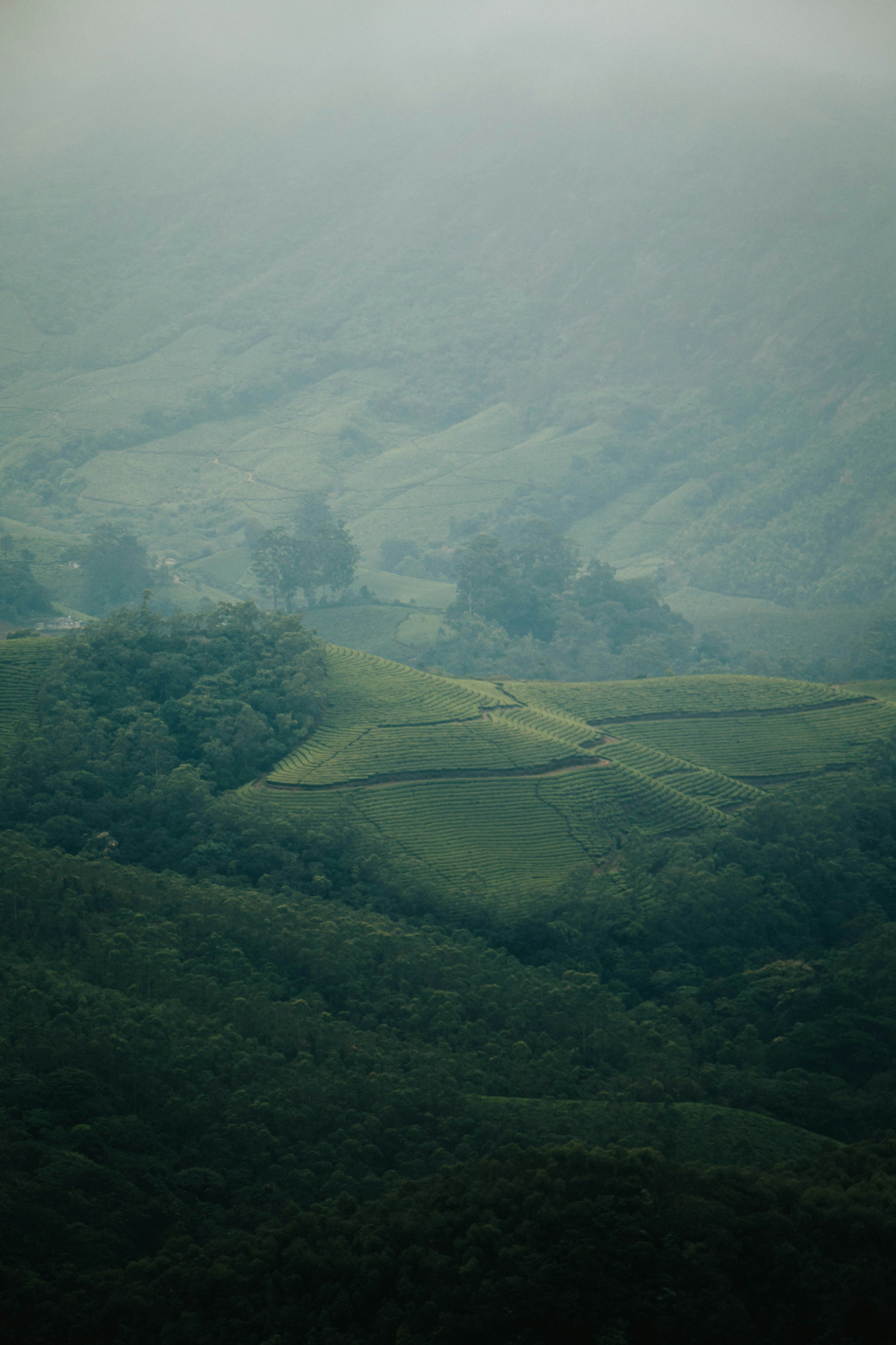 Photo by rishabh_mathew